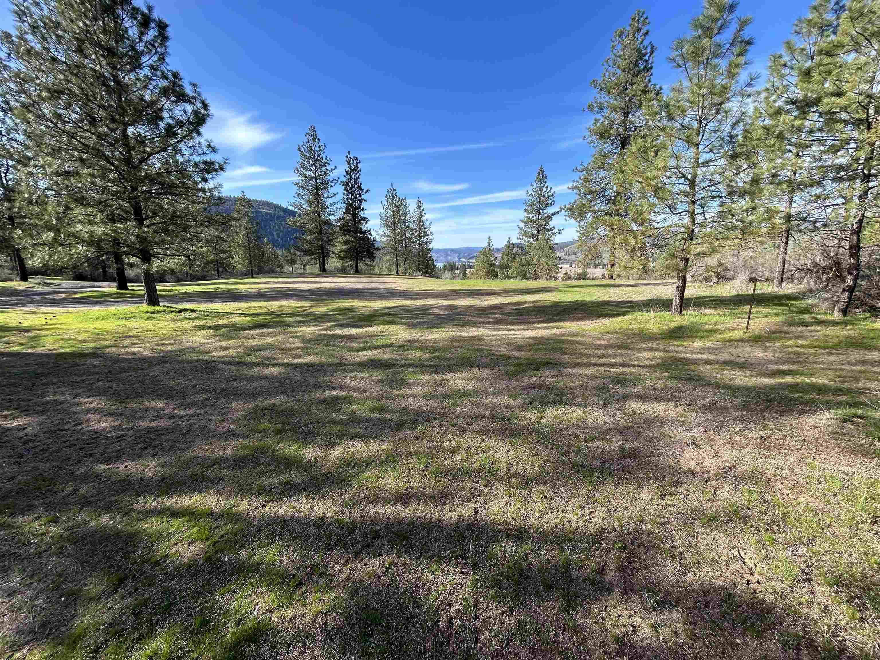 38800 E Sand Flats Dr, Davenport, WA 99122