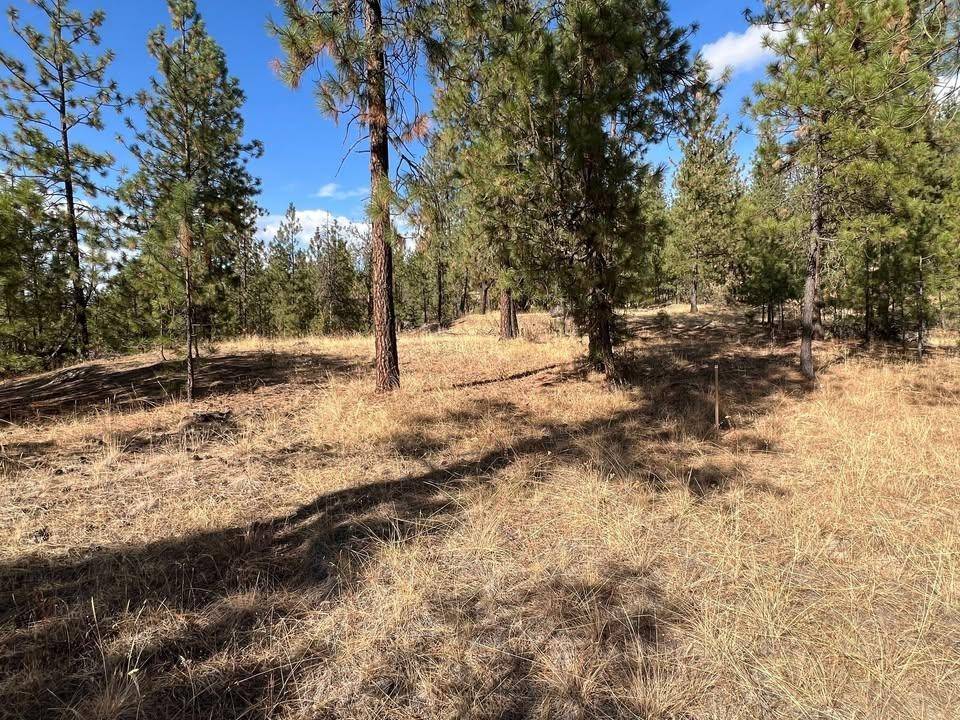 TBD N Corkscrew Canyon Rd #Parcel B, Tumtum, WA 99013