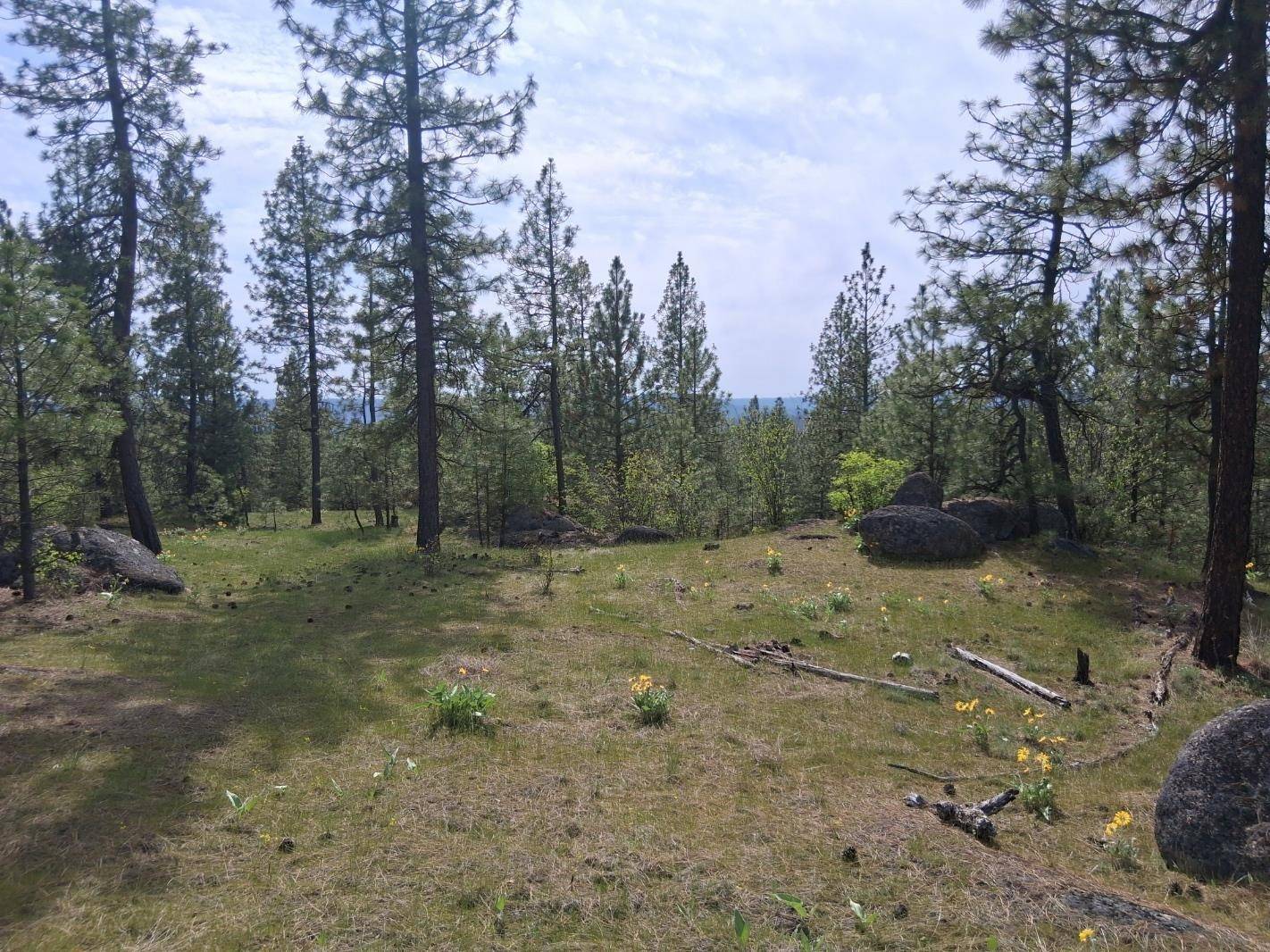 TBD N Corkscrew Canyon Rd #Parcel B, Tumtum, WA 99013
