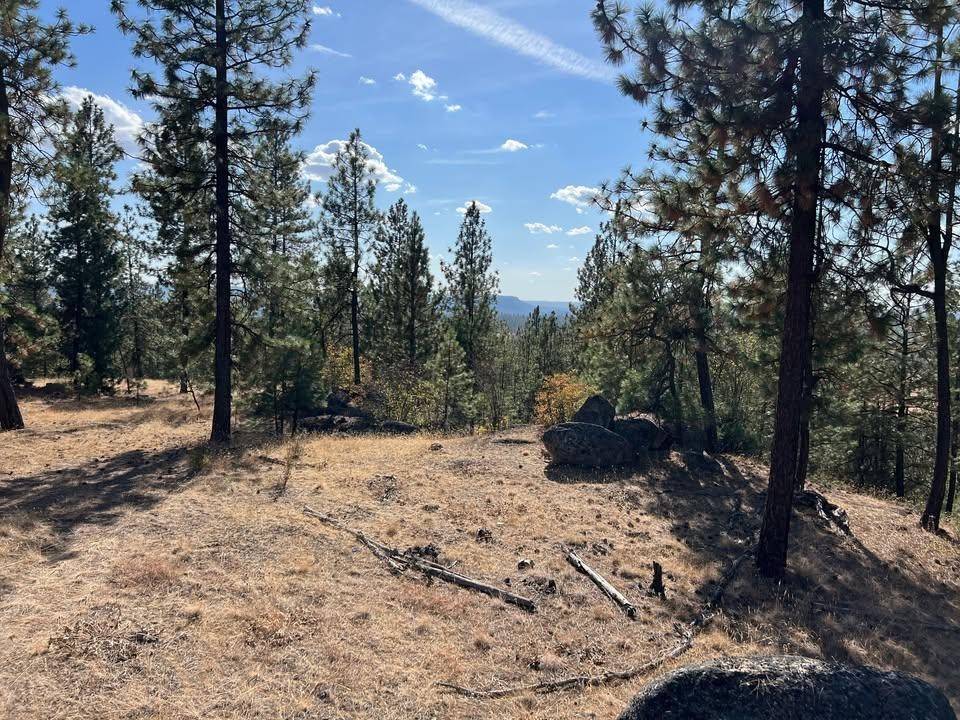 TBD N Corkscrew Canyon Rd #Parcel B, Tumtum, WA 99013