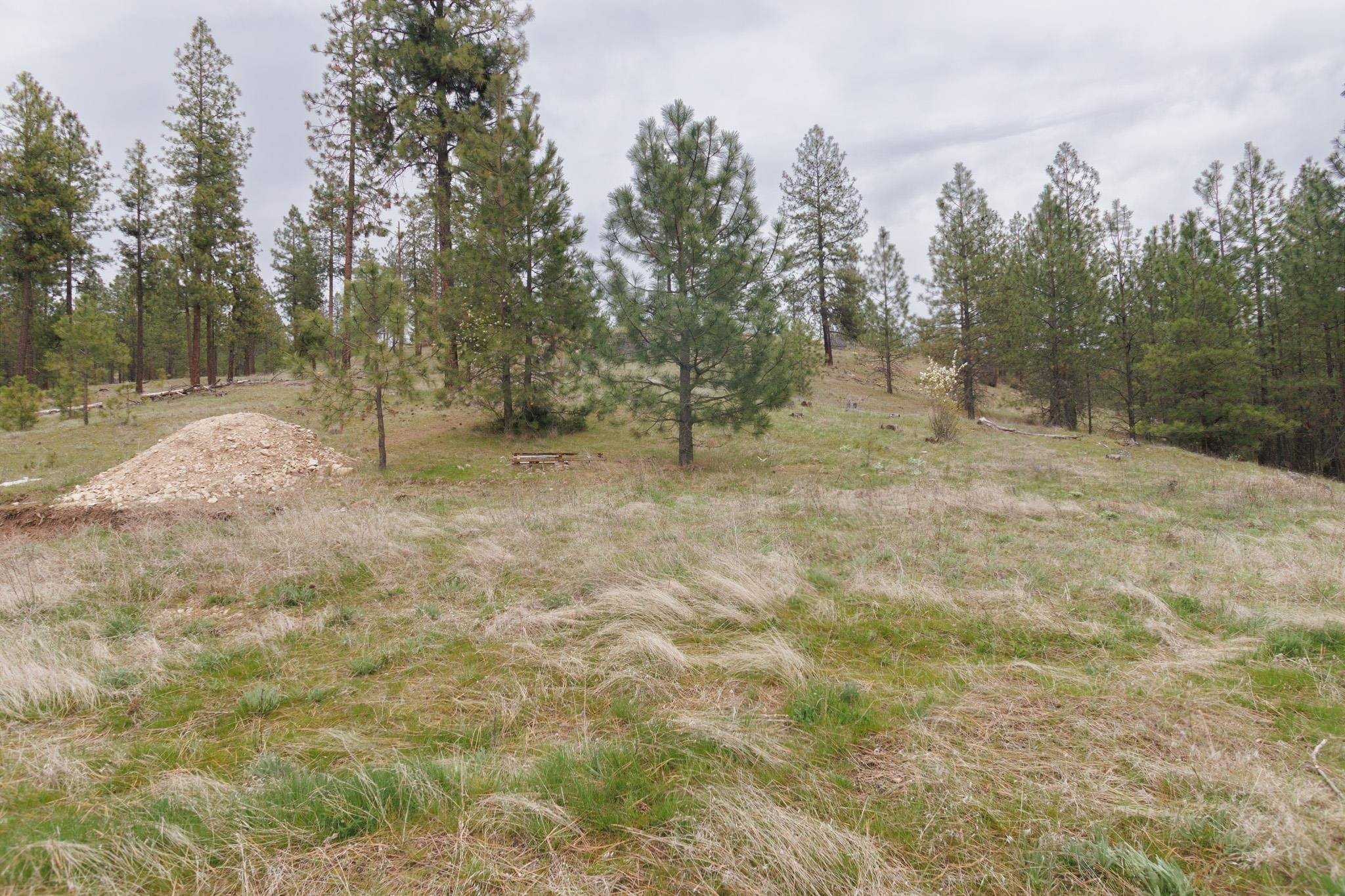 TBD N Corkscrew Canyon Rd #Parcel A, Tumtum, WA 99013