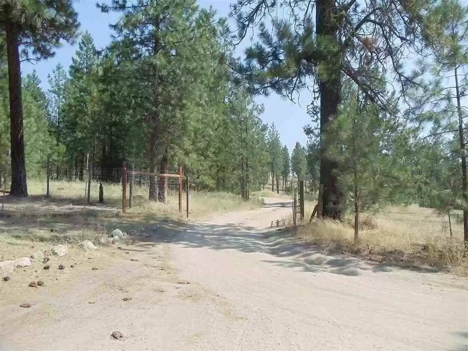 TBD N Corkscrew Canyon Rd #Parcel A, Tumtum, WA 99013