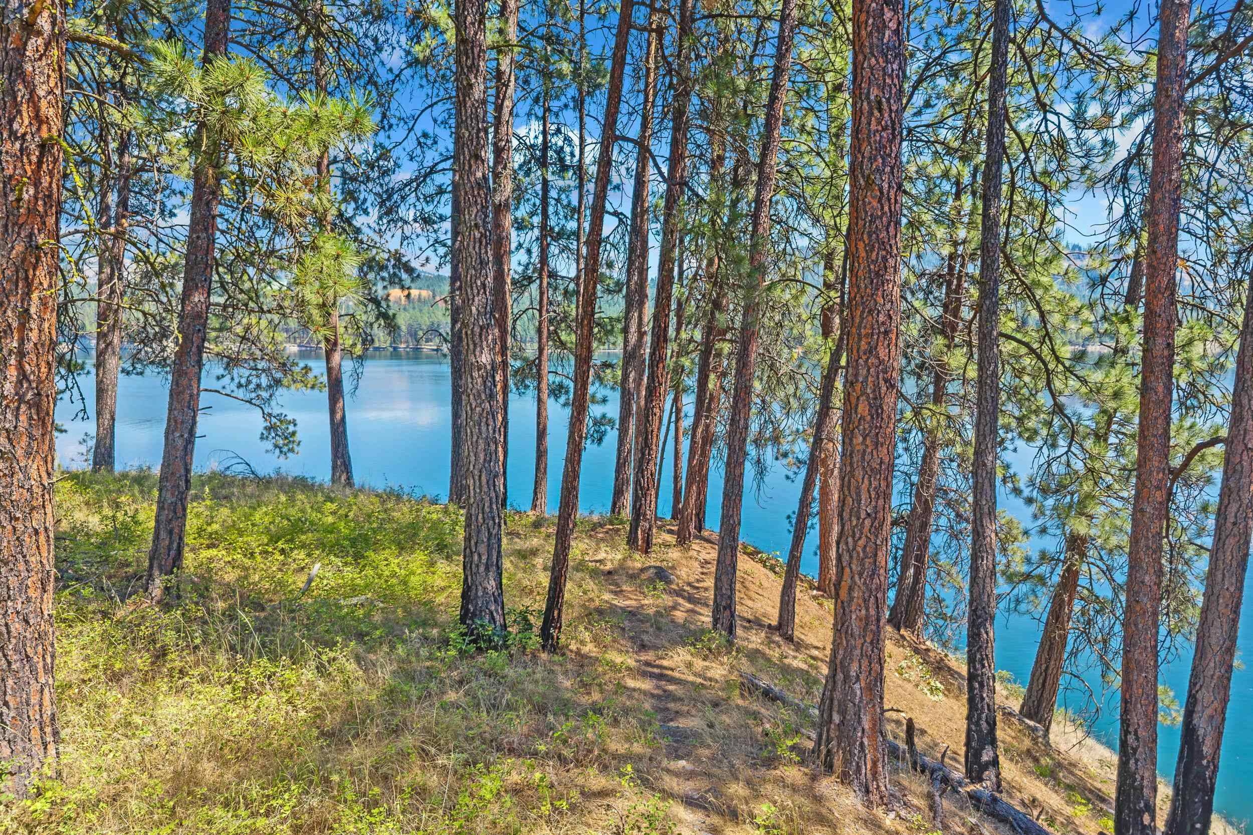 61 Columbia Dr, Kettle Falls, WA 99141