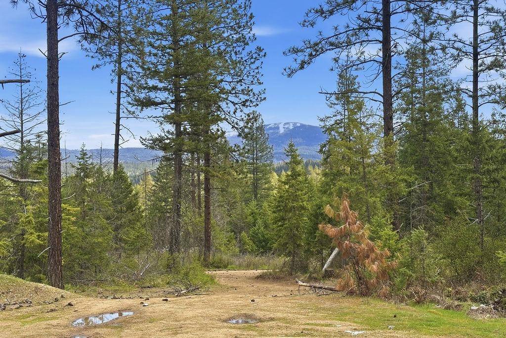 8300 E Lodge Pole Ln, Chattaroy, WA 99003