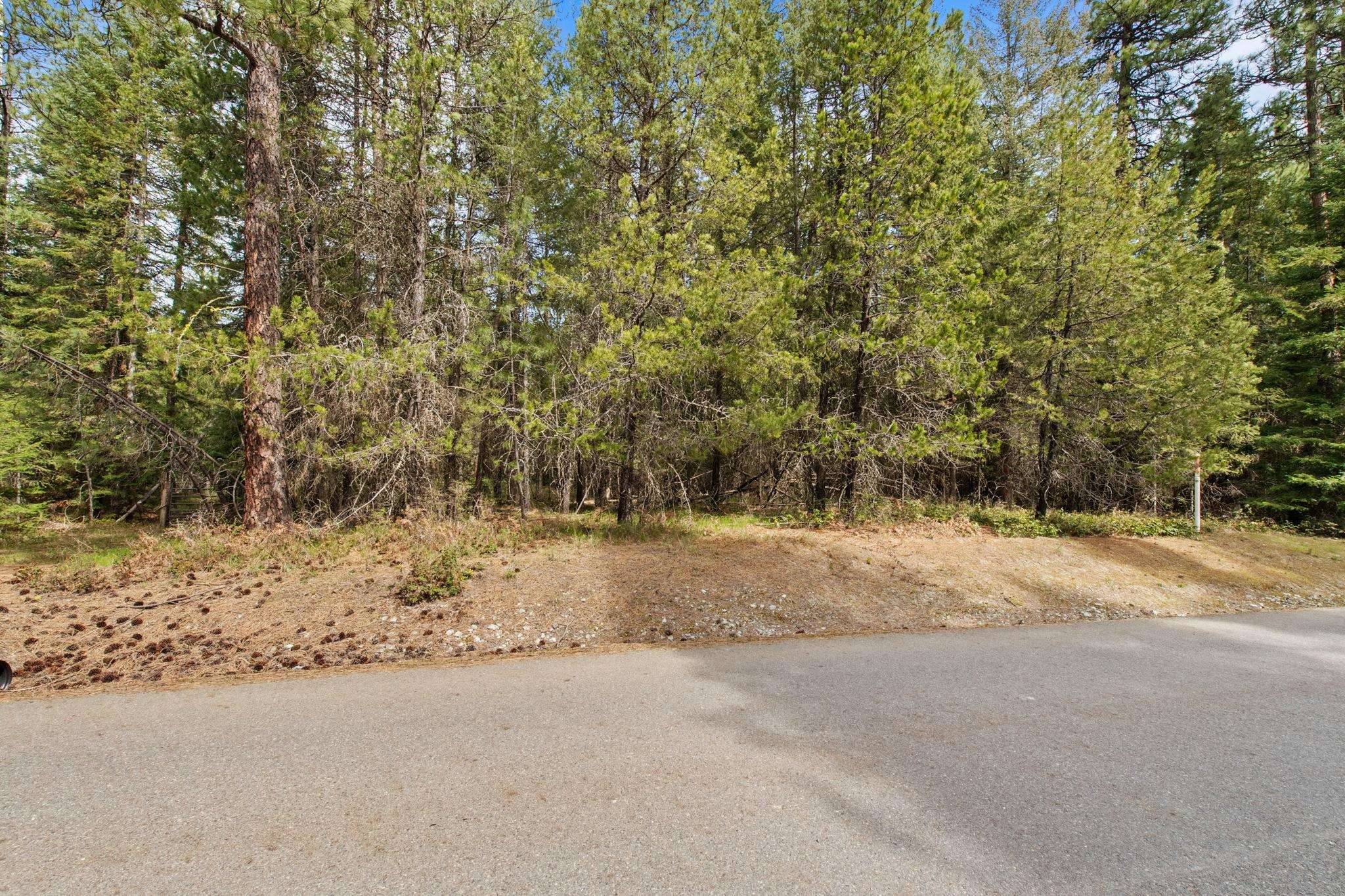 NKA Lenora Dr, Usk, WA 99180