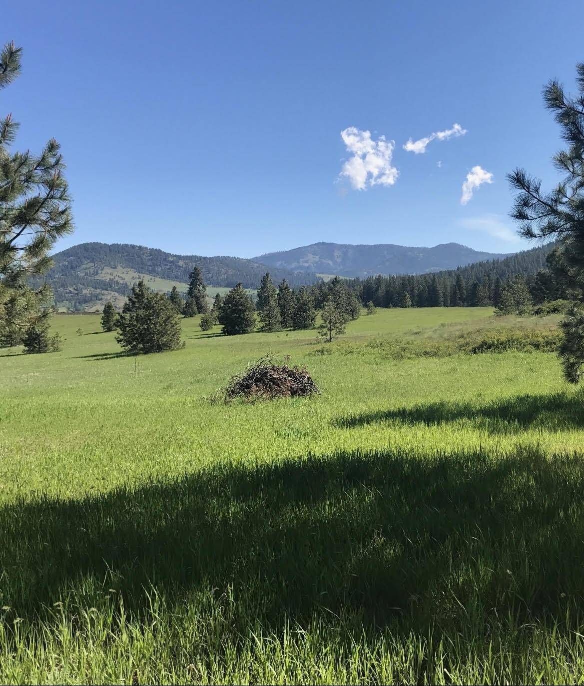 2069 A S Johnson Rd, Rice, WA 99167