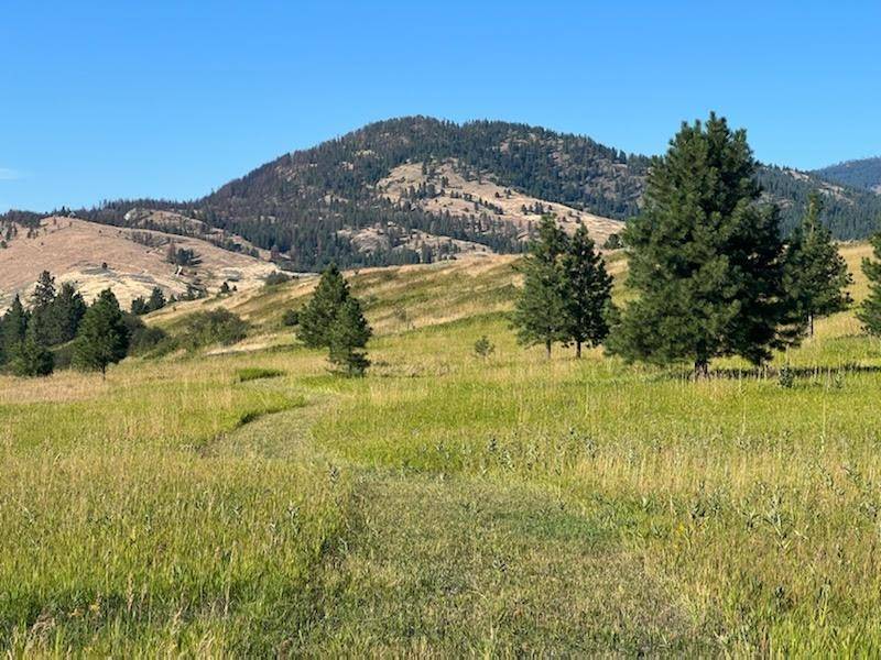 2069 B S Johnson Rd, Rice, WA 99167