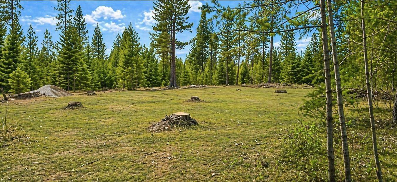 6833 Drum Rd, Springdale, WA 99173