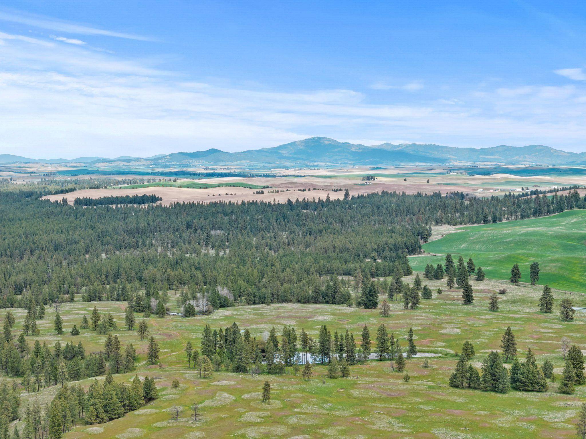 XXXXX Vacant Land, Rosalia, WA 99170