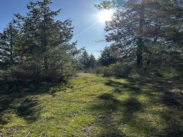 TBD Waldrons Ln, Chattaroy, WA 99009