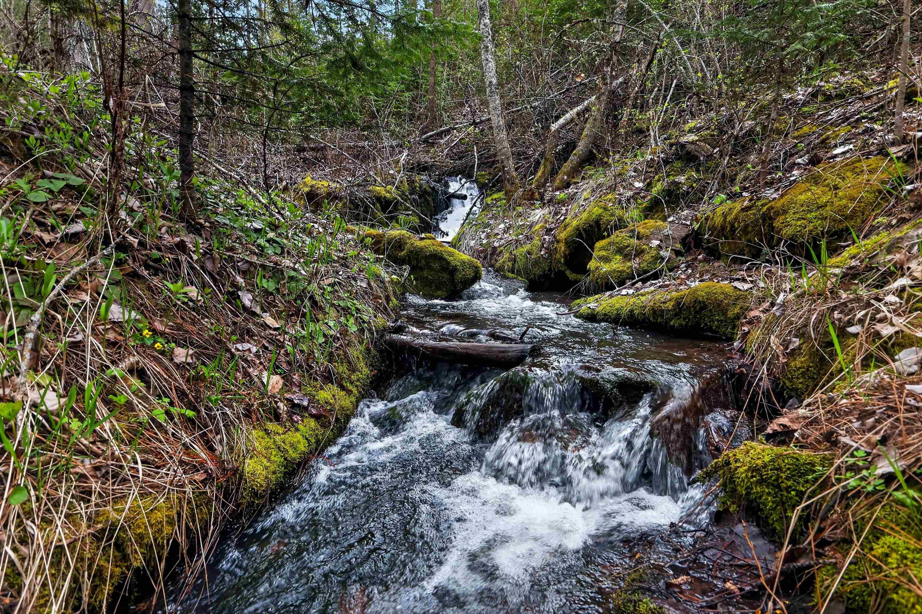 NKA E Red Feather Ln, Liberty Lake, WA 99019