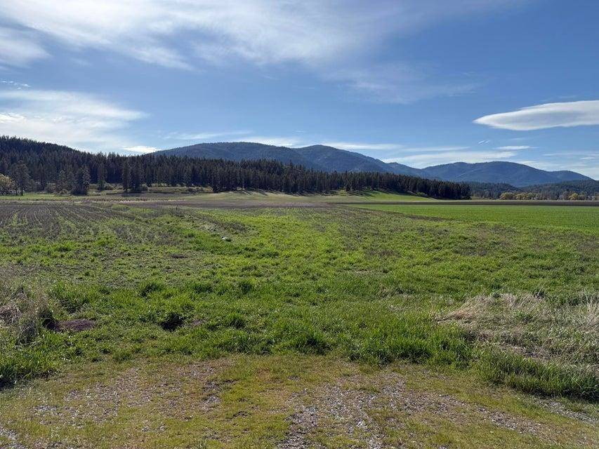 TBD Zimmer Rd, Addy, WA 99101
