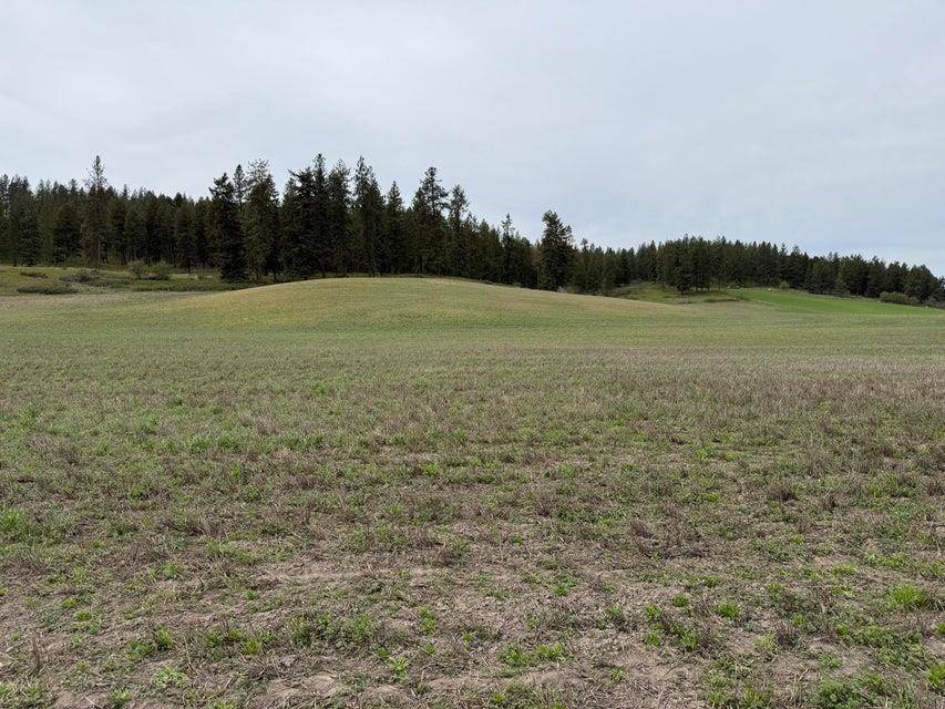TBD Zimmer Rd, Addy, WA 99101