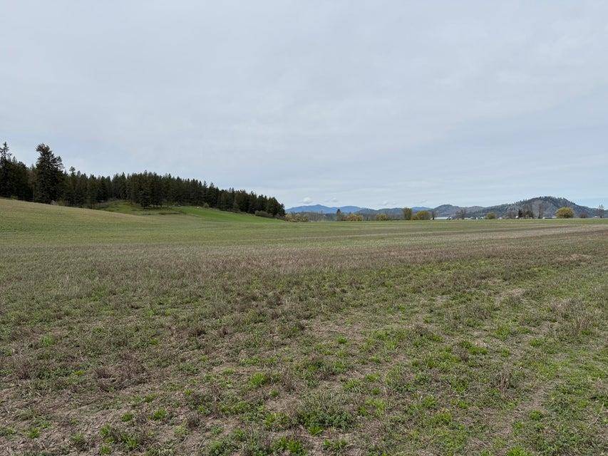 TBD Zimmer Rd, Addy, WA 99101
