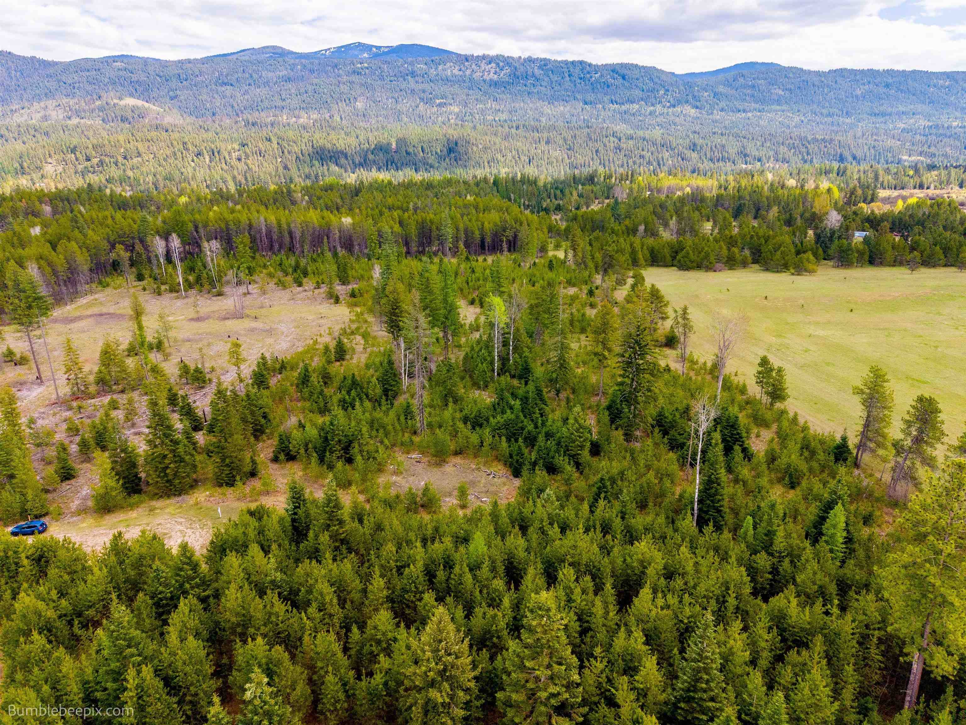 NKN Evergreen Rd, Ione, WA 99139