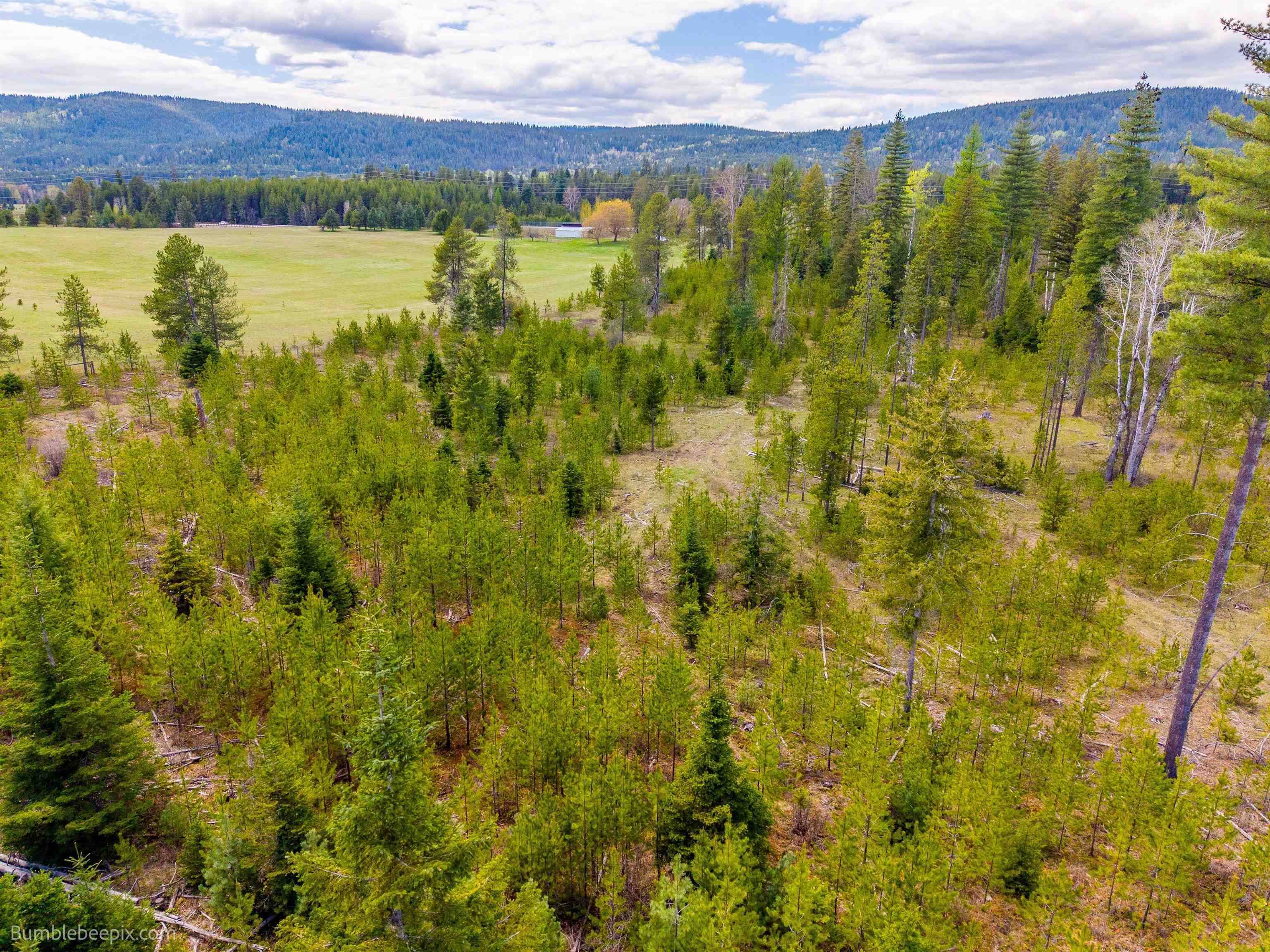 NKN Evergreen Rd, Ione, WA 99139
