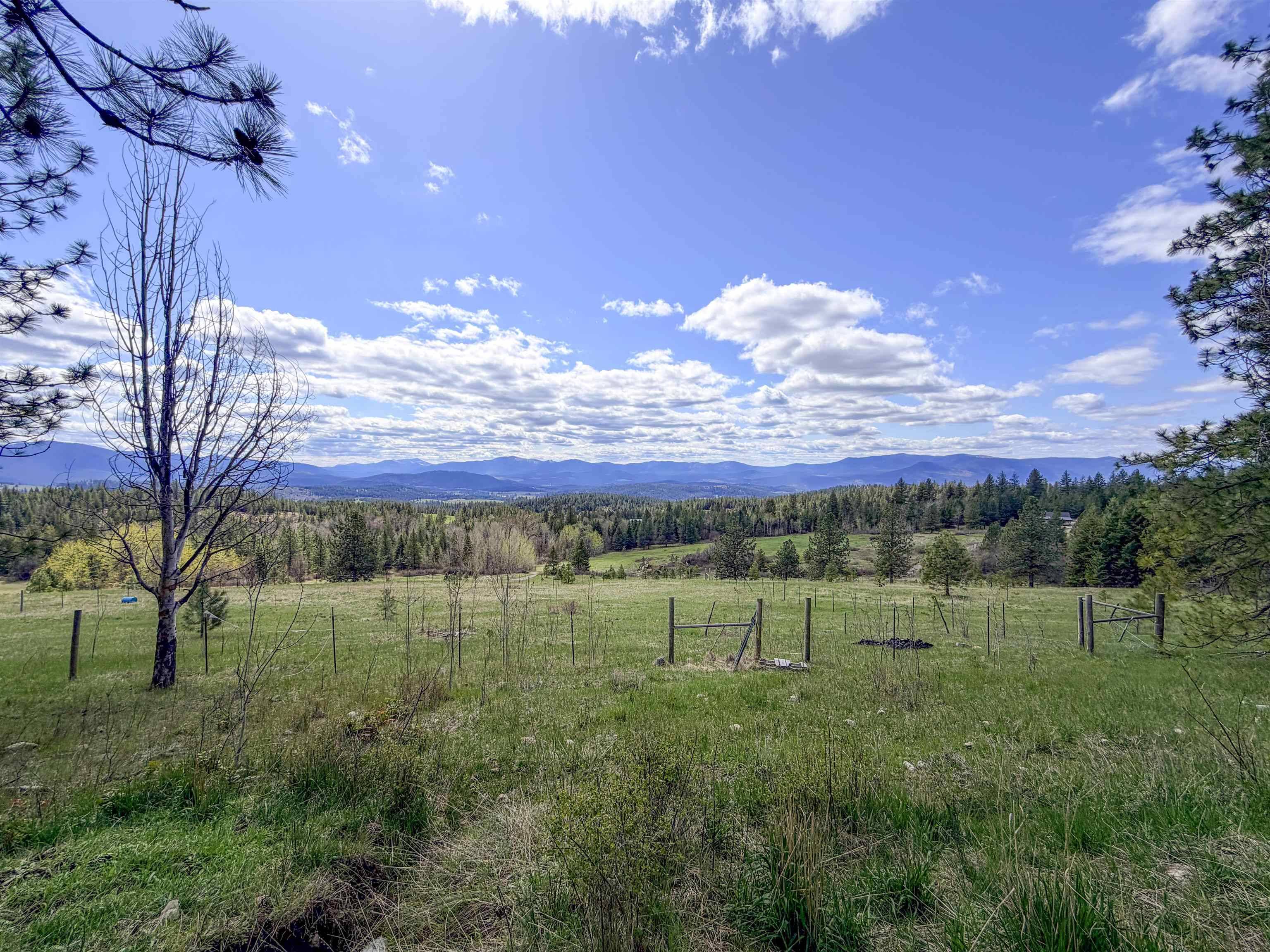 829 Dominion Springs WAY, Colville, WA 99114