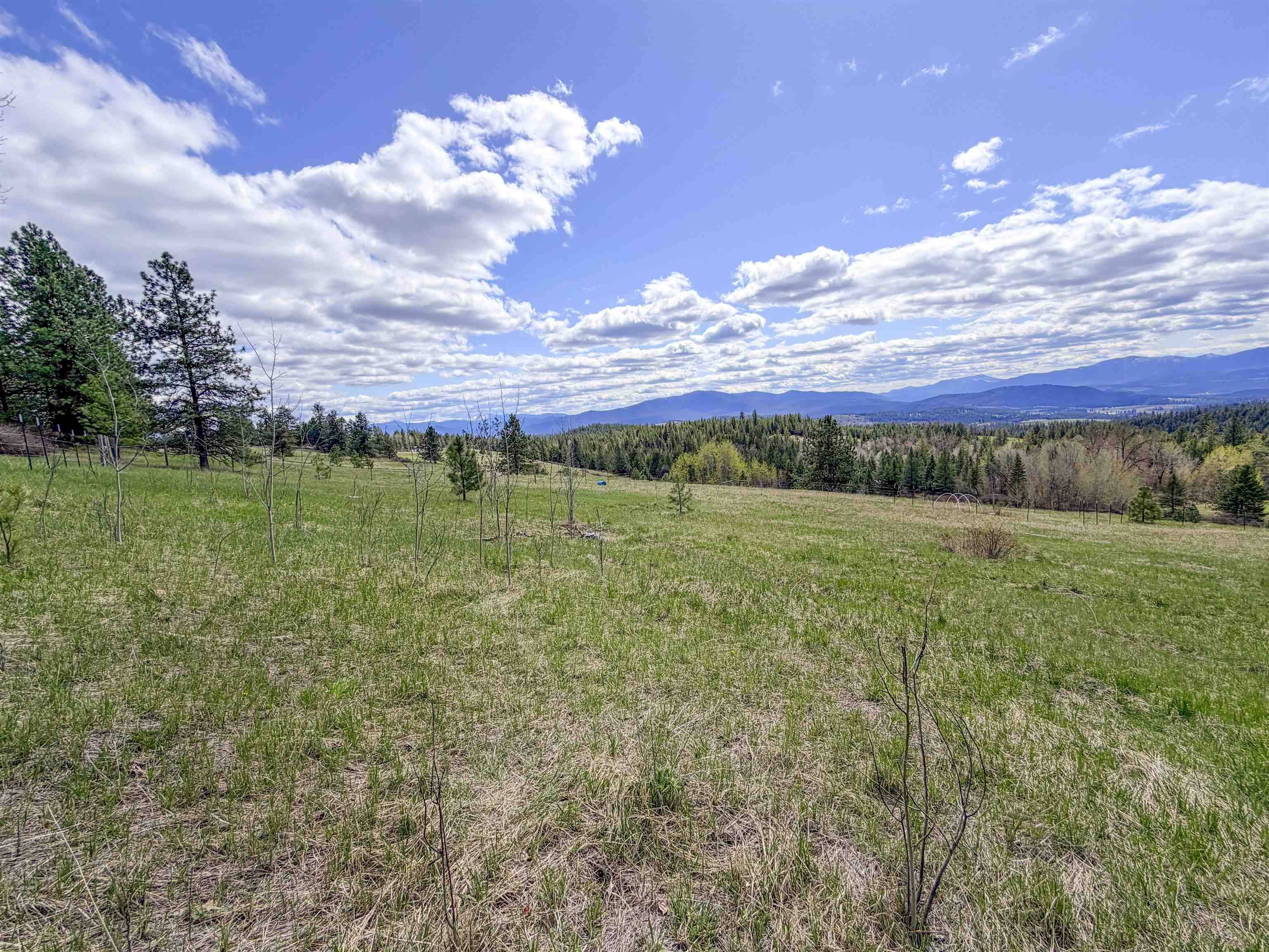 829 Dominion Springs WAY, Colville, WA 99114