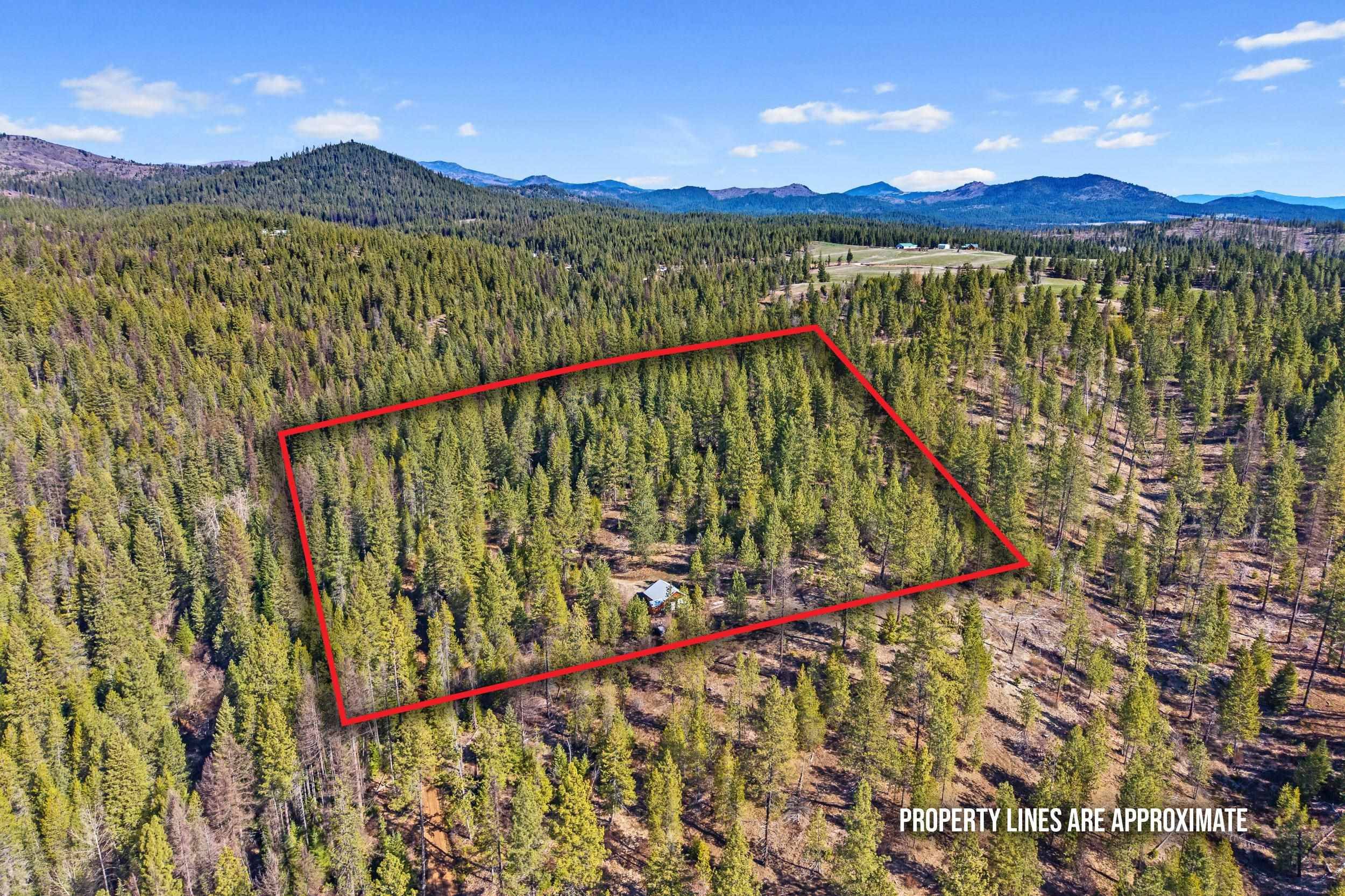 5324 Olinger Rd, Springdale, WA 99173