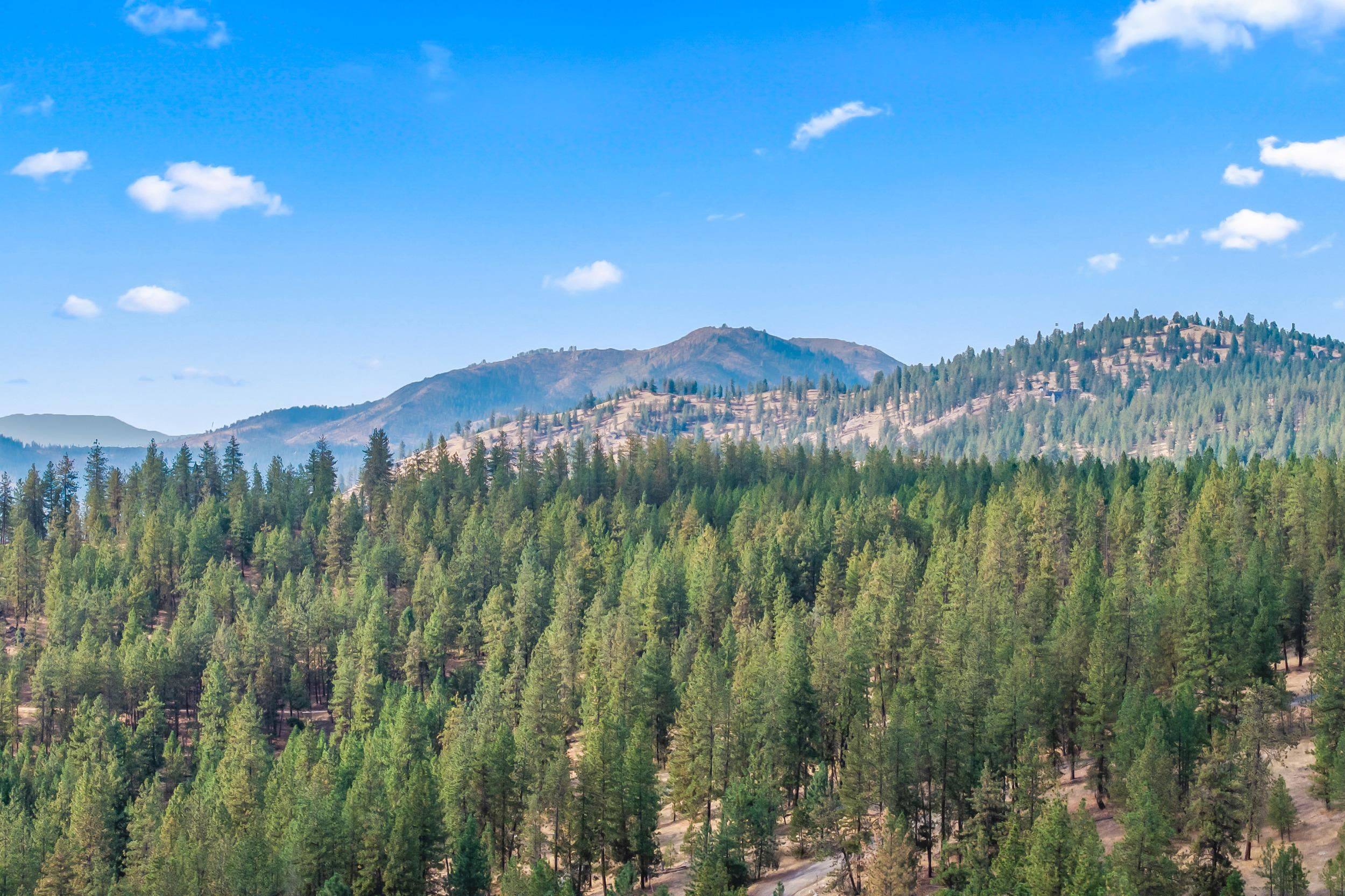 6526 Summerlin WAY, Nine Mile Falls, WA 99026