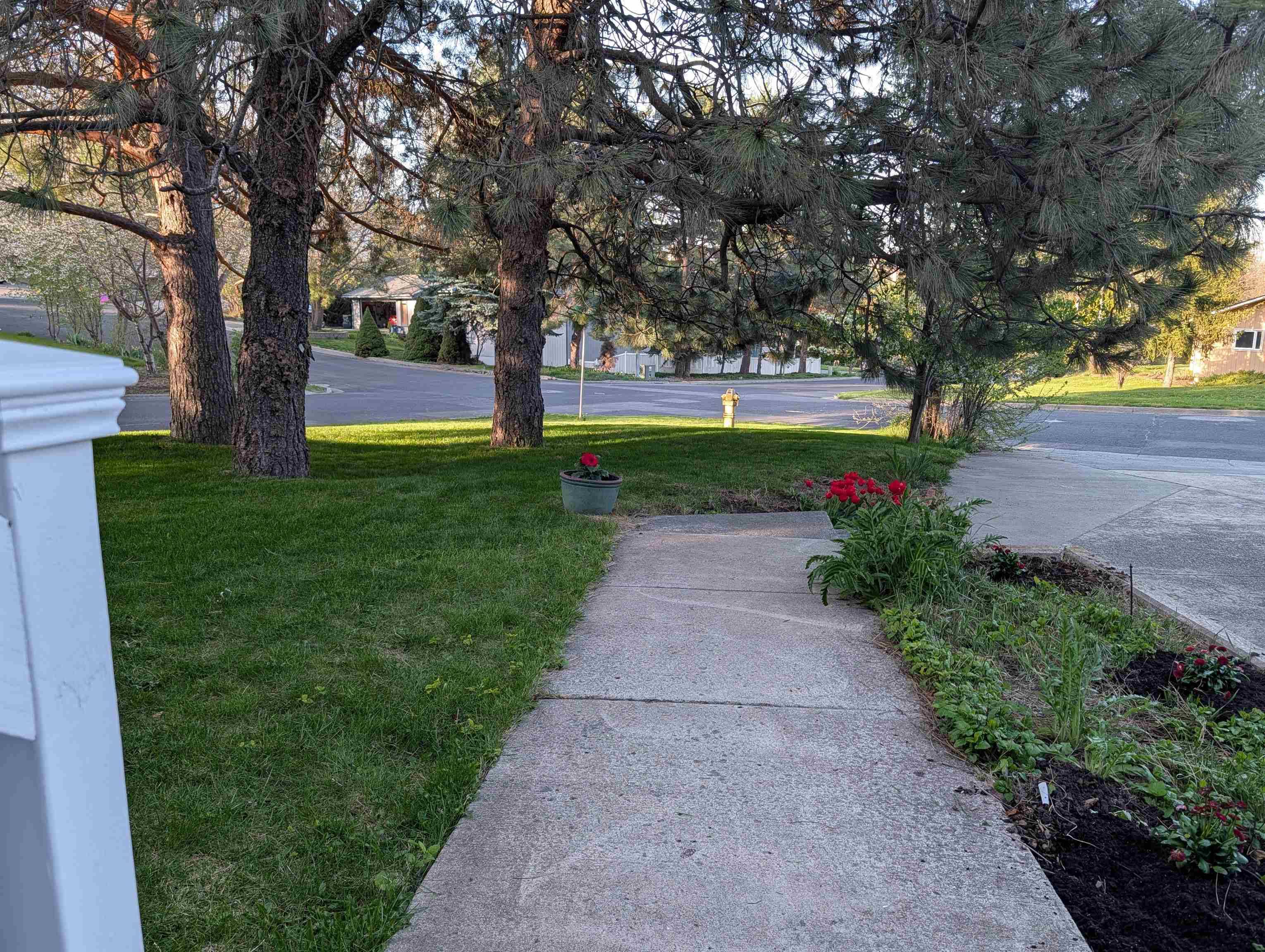 795 SE Greenhill Rd, Pullman, WA 99163