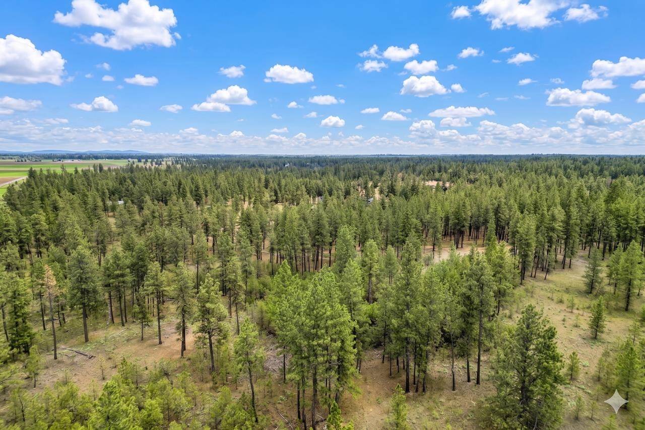 17305 S Blasted Ln, Cheney, WA 99004