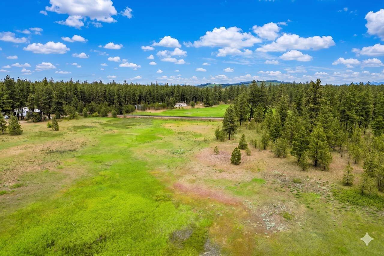 17305 S Blasted Ln, Cheney, WA 99004