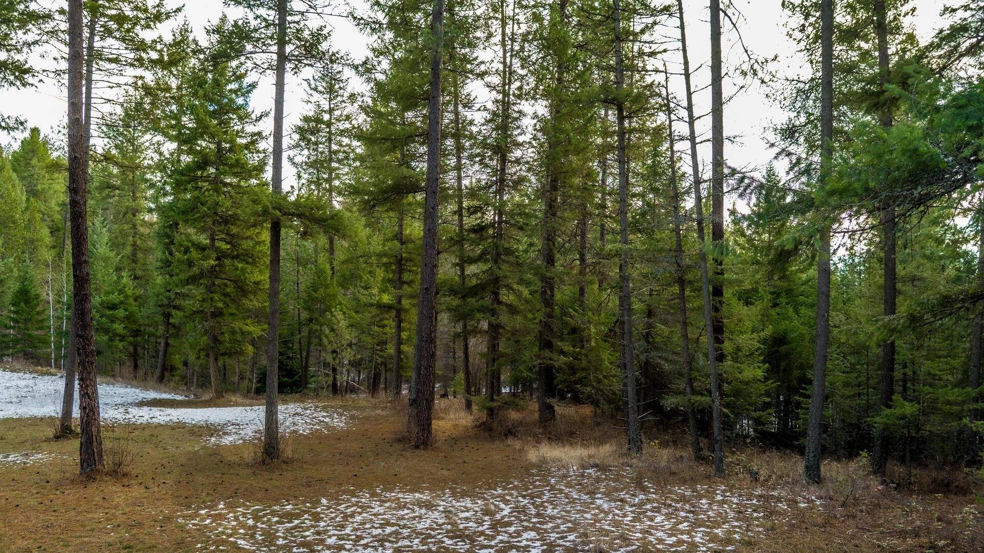 2559 United Copper Mine Rd, Chewelah, WA 99109