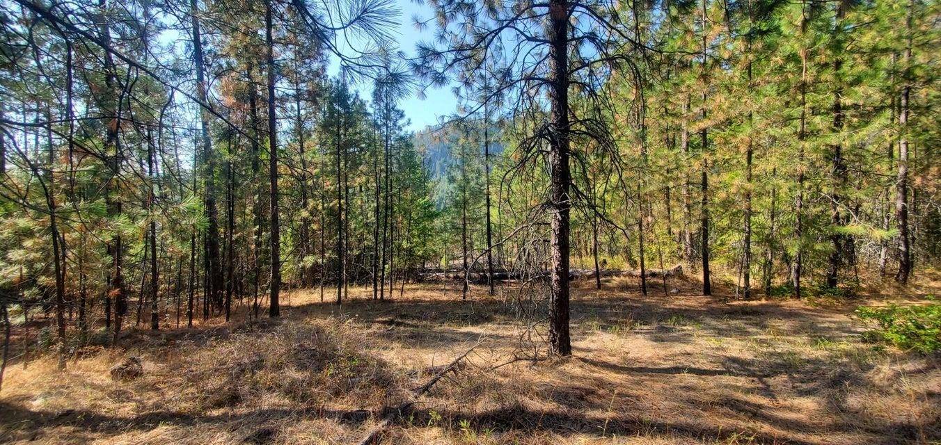 3733-XX Sand Creek Rd, Kettle Falls, WA 99141