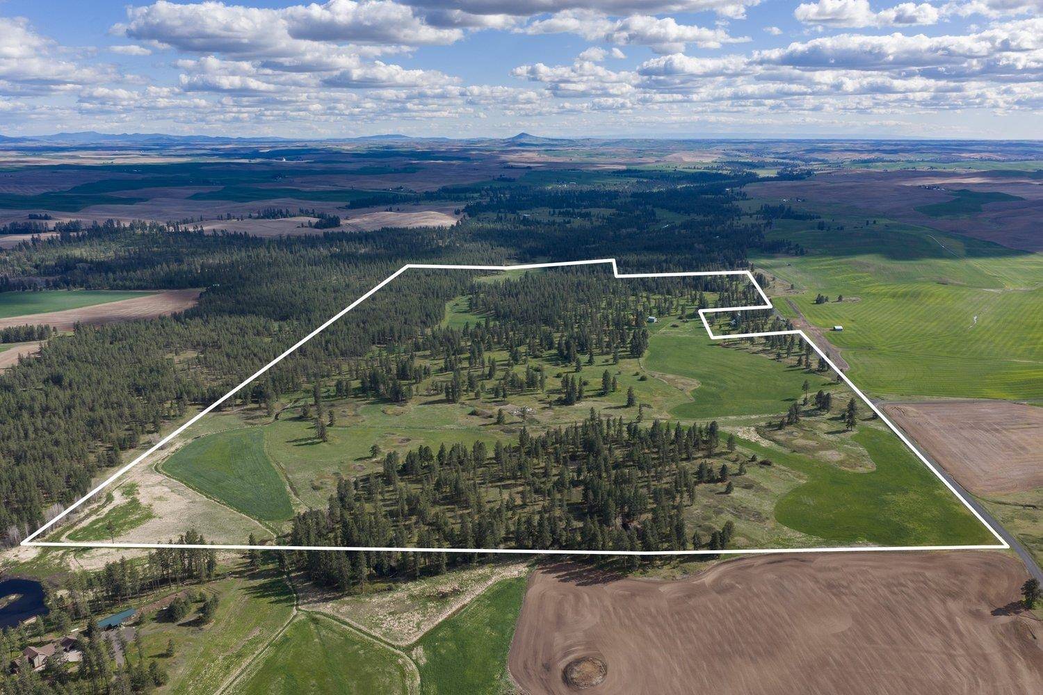 32312 S North Pine Creek Rd, Spangle, WA 99031
