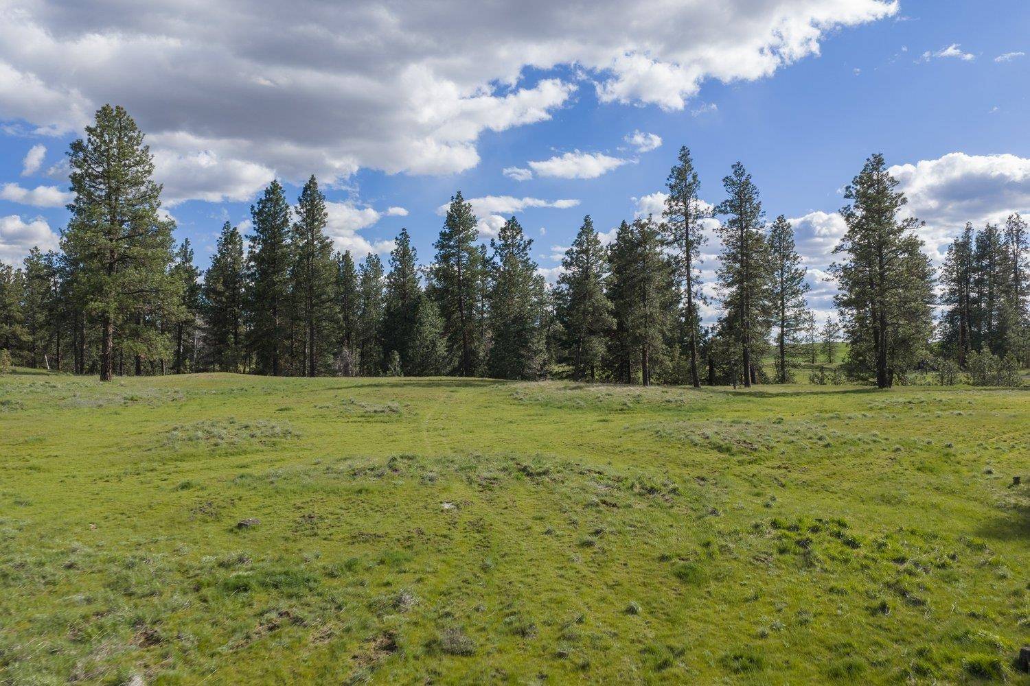 32312 S North Pine Creek Rd, Spangle, WA 99031