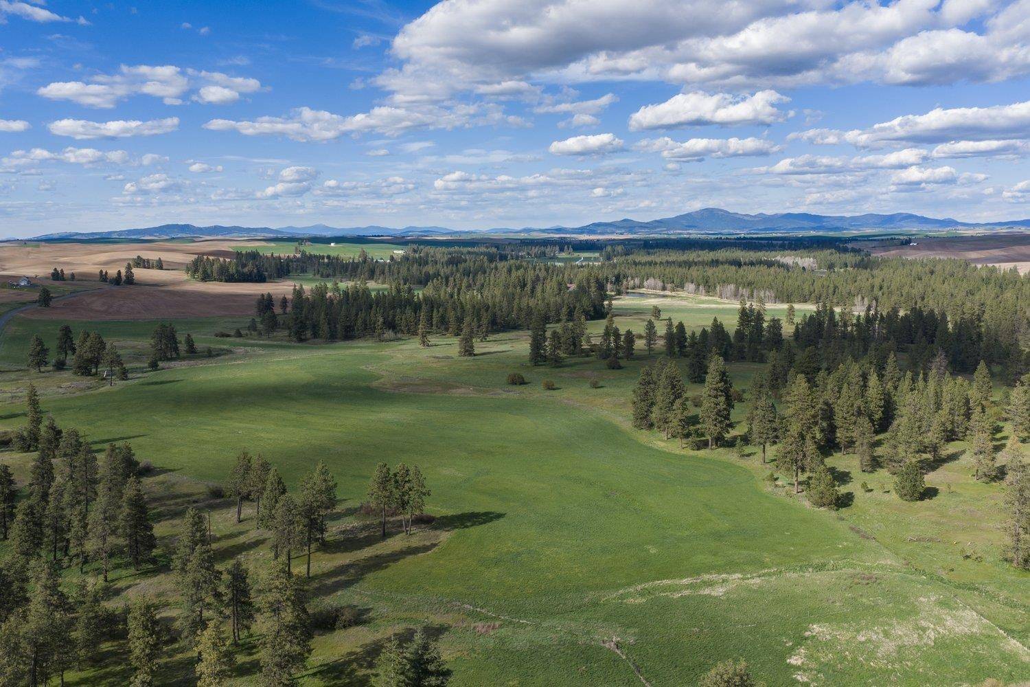 32312 S North Pine Creek Rd, Spangle, WA 99031