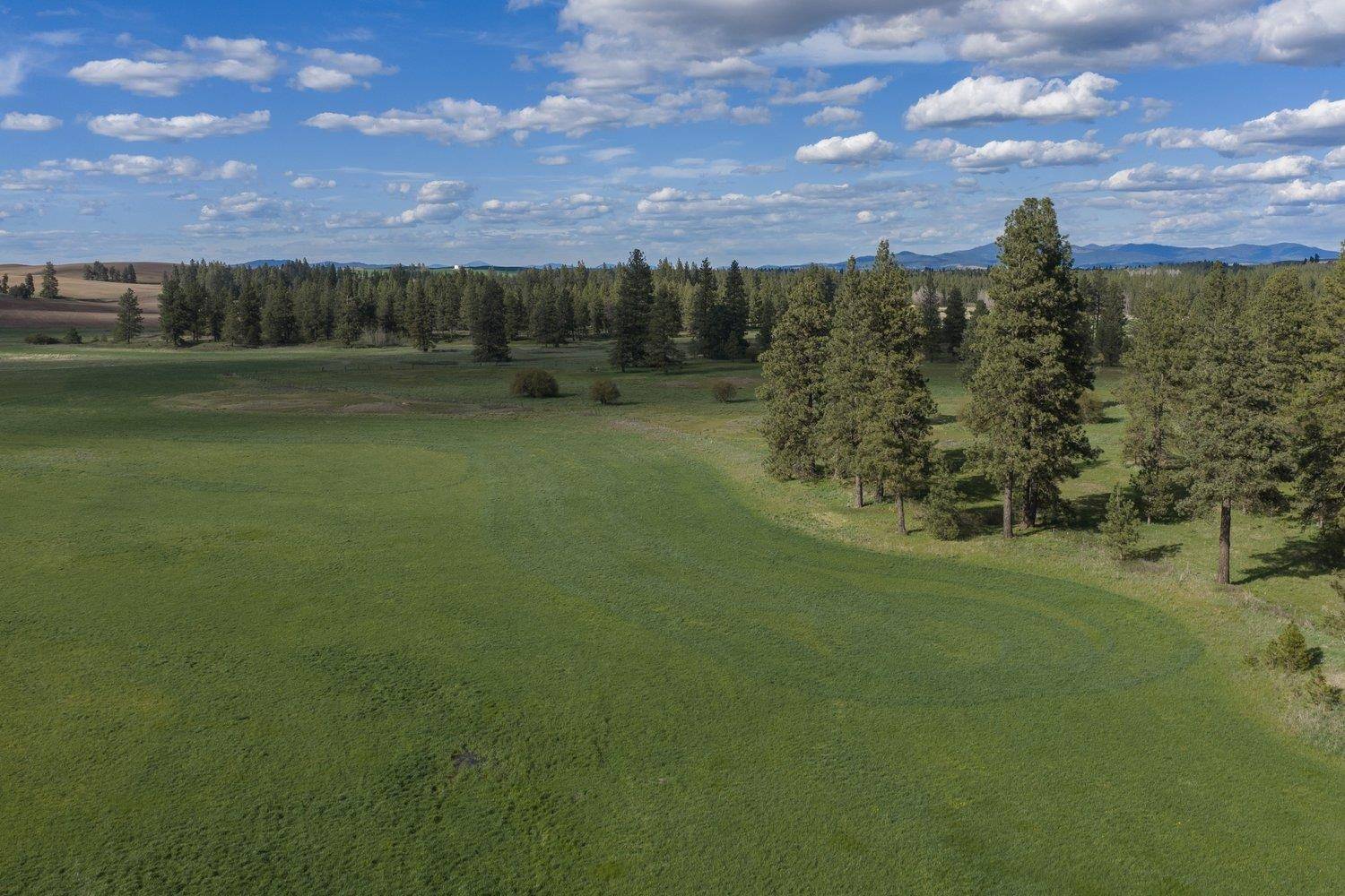 32312 S North Pine Creek Rd, Spangle, WA 99031