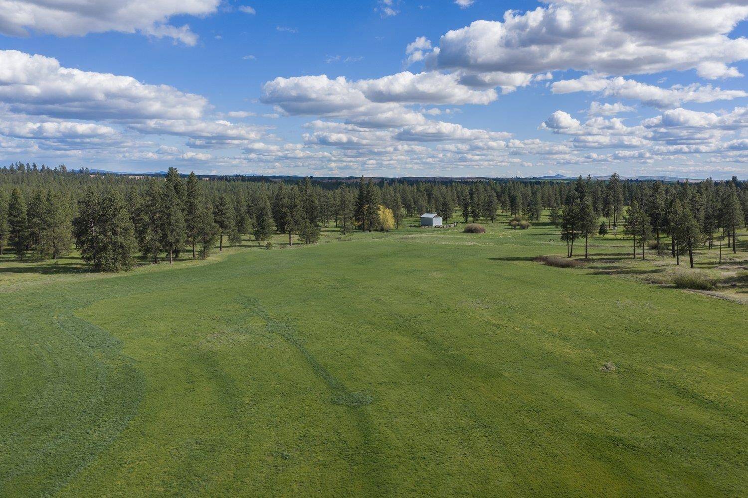 32312 S North Pine Creek Rd, Spangle, WA 99031