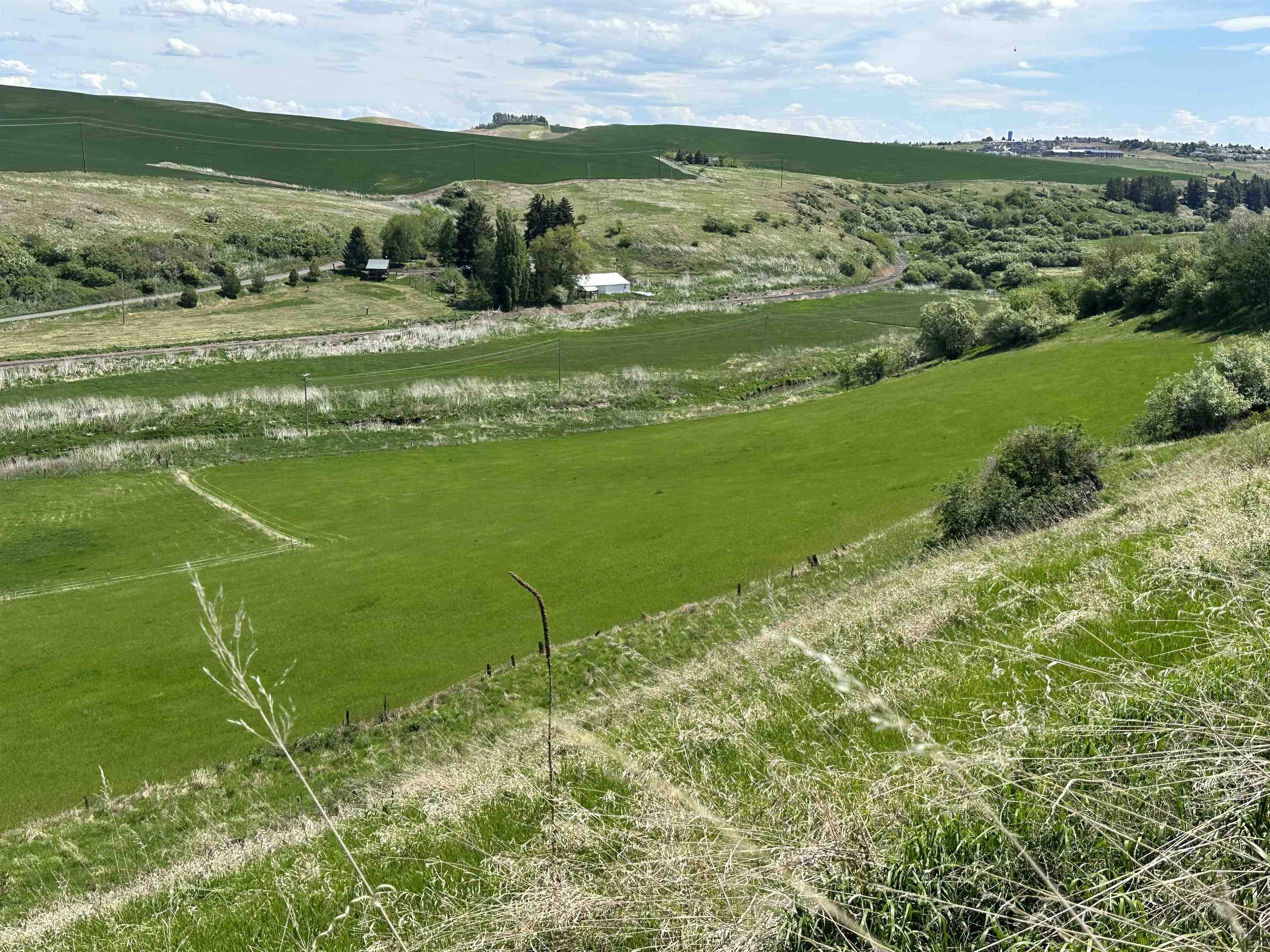 7XX S Armstrong Rd, Pullman, WA 99163