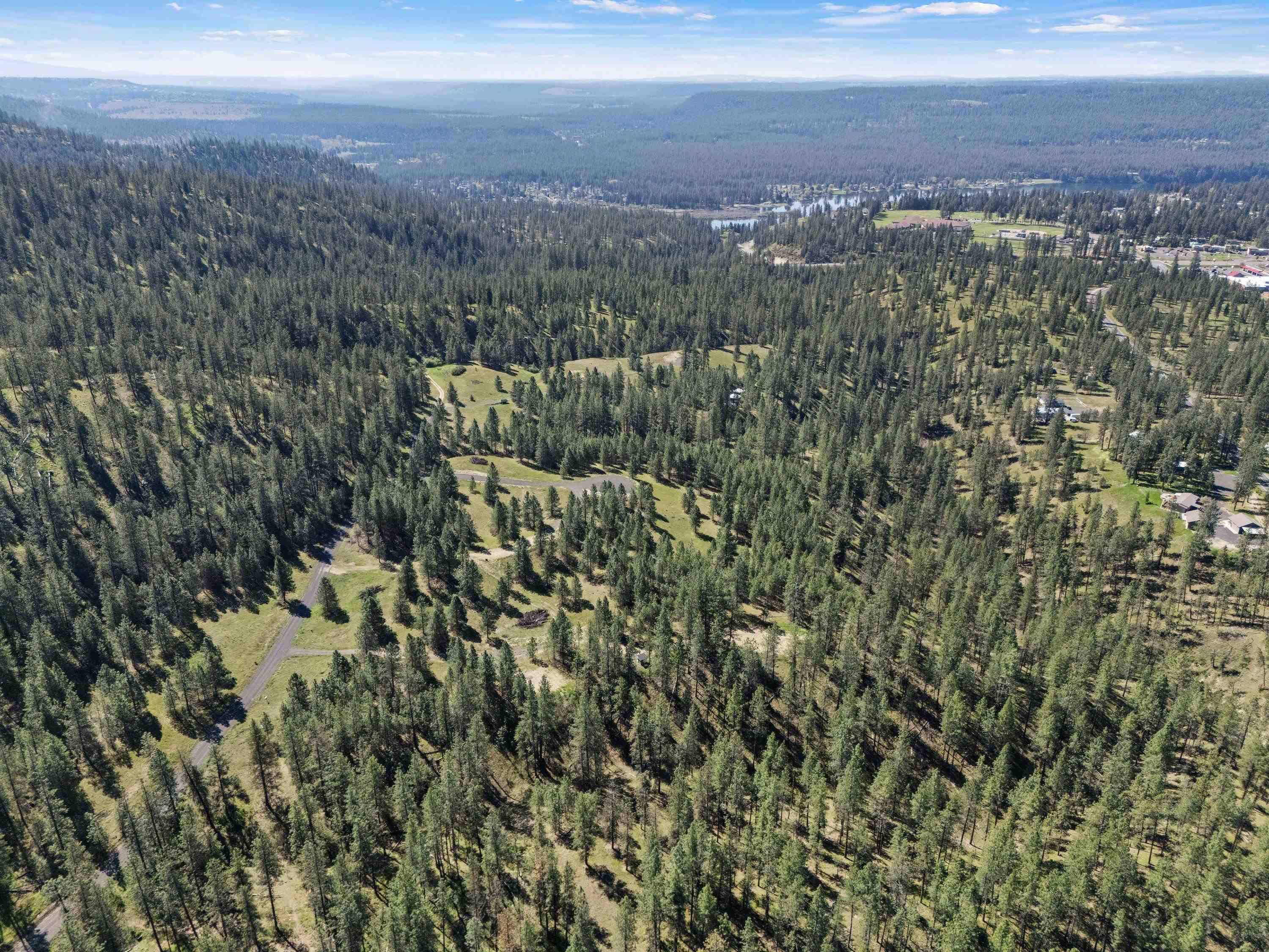 5880 Lot 3 Lower Weaver WAY #Parcel# 5807123, Nine Mile Falls, WA 99026