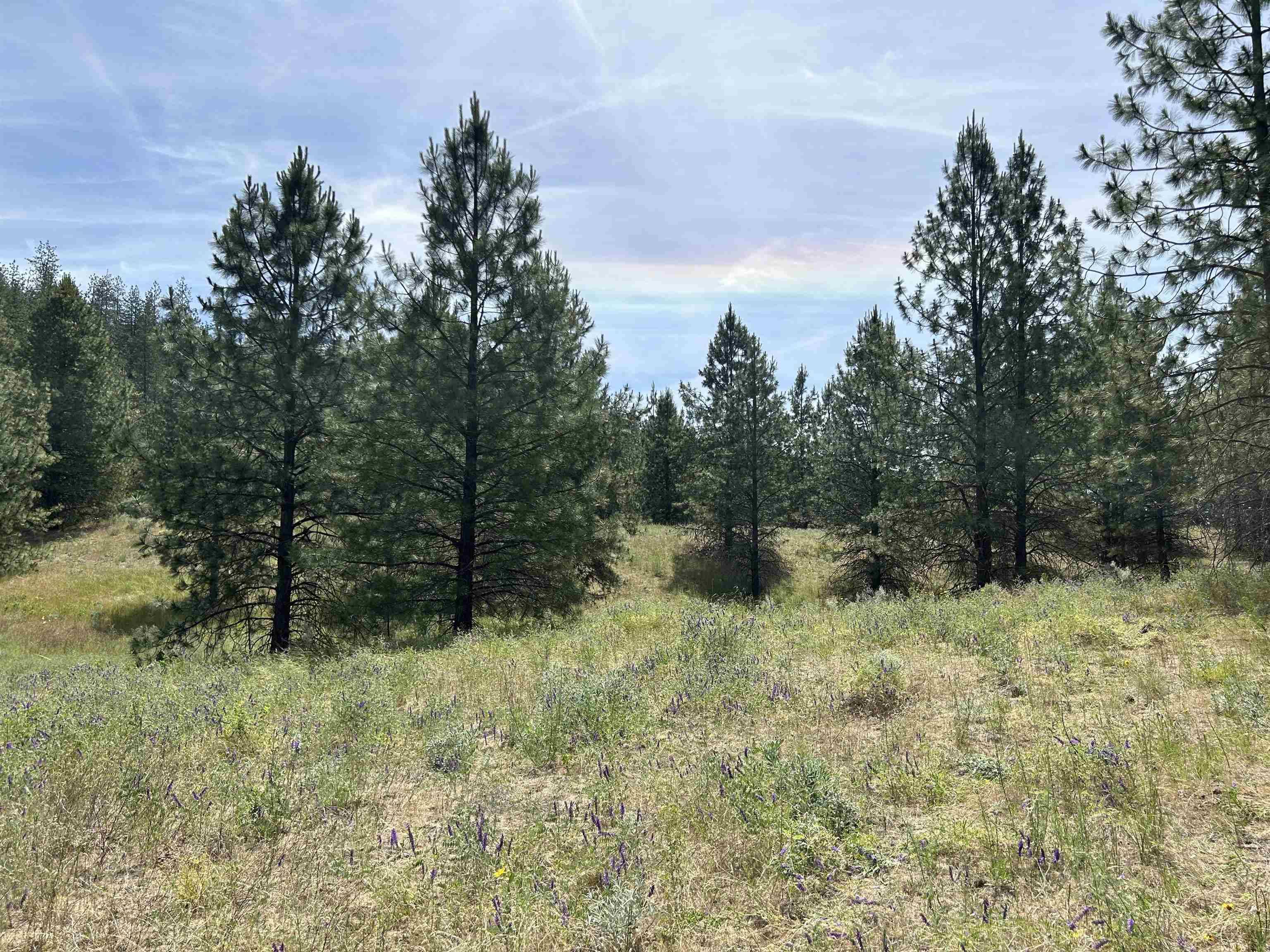 5880 Lot 3 Lower Weaver WAY #Parcel# 5807123, Nine Mile Falls, WA 99026