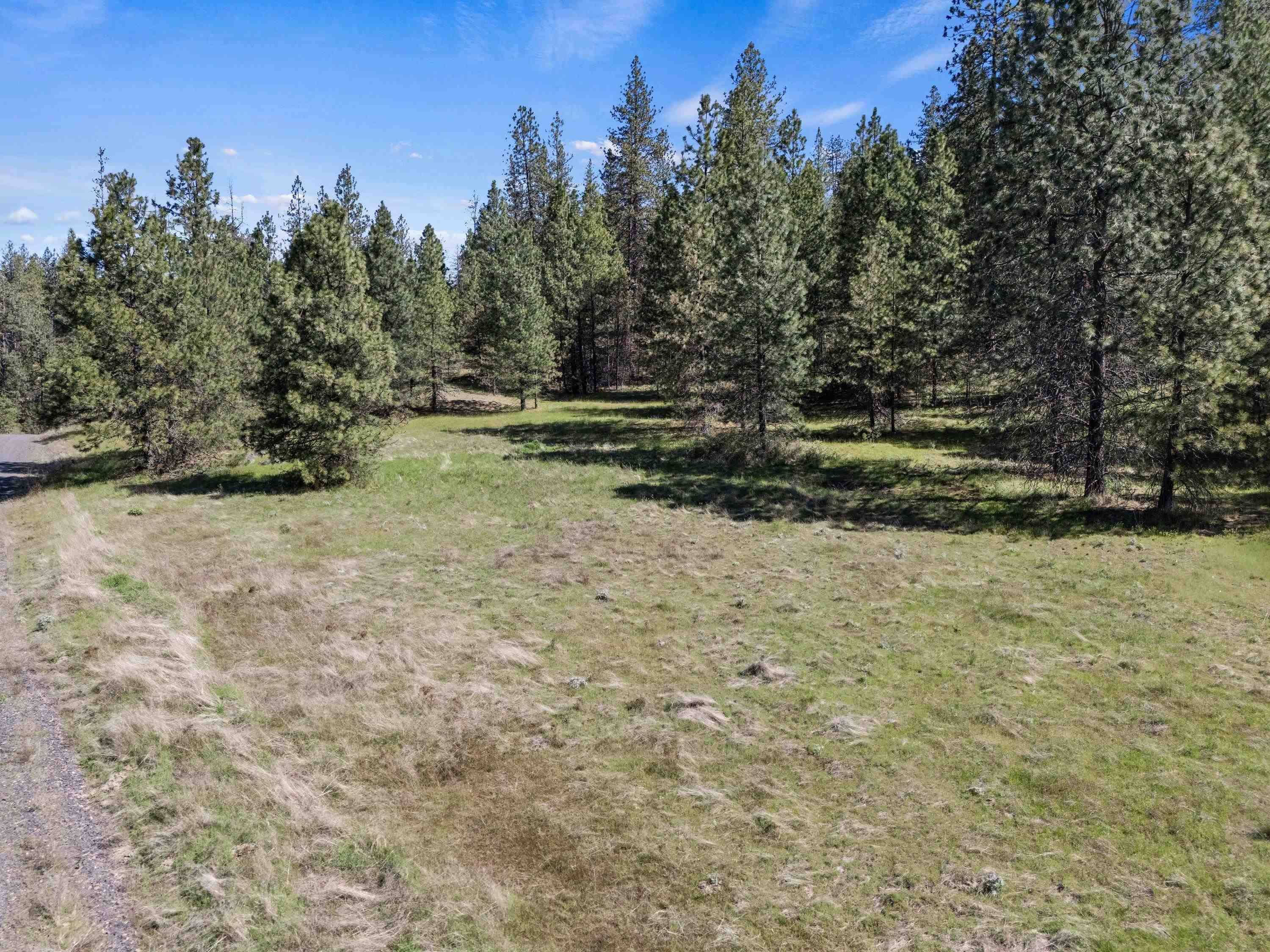 5880 Lot 3 Lower Weaver WAY #Parcel# 5807123, Nine Mile Falls, WA 99026