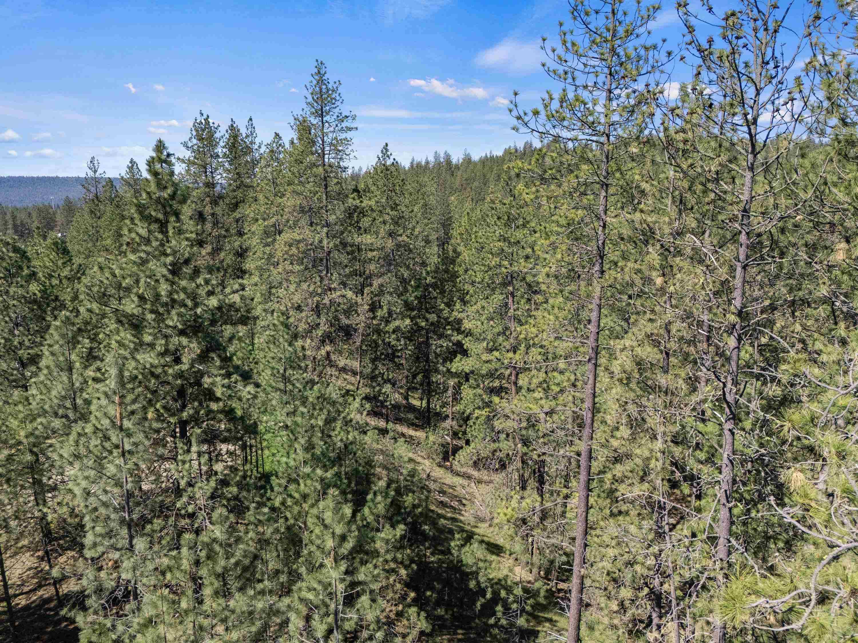 58xx Lot 2 Lower Weaver WAY #Parcel# 5807122, Nine Mile Falls, WA 99026