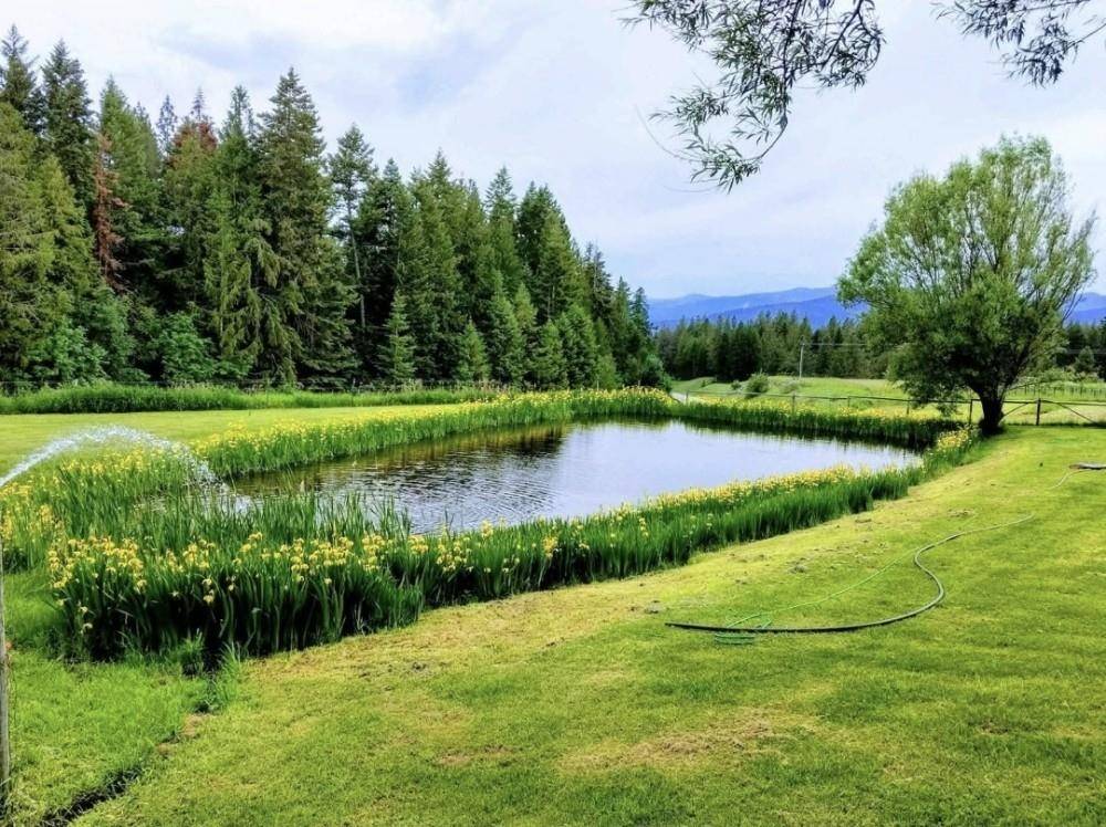 2551 Flowery Trail Rd, Chewelah, WA 99109