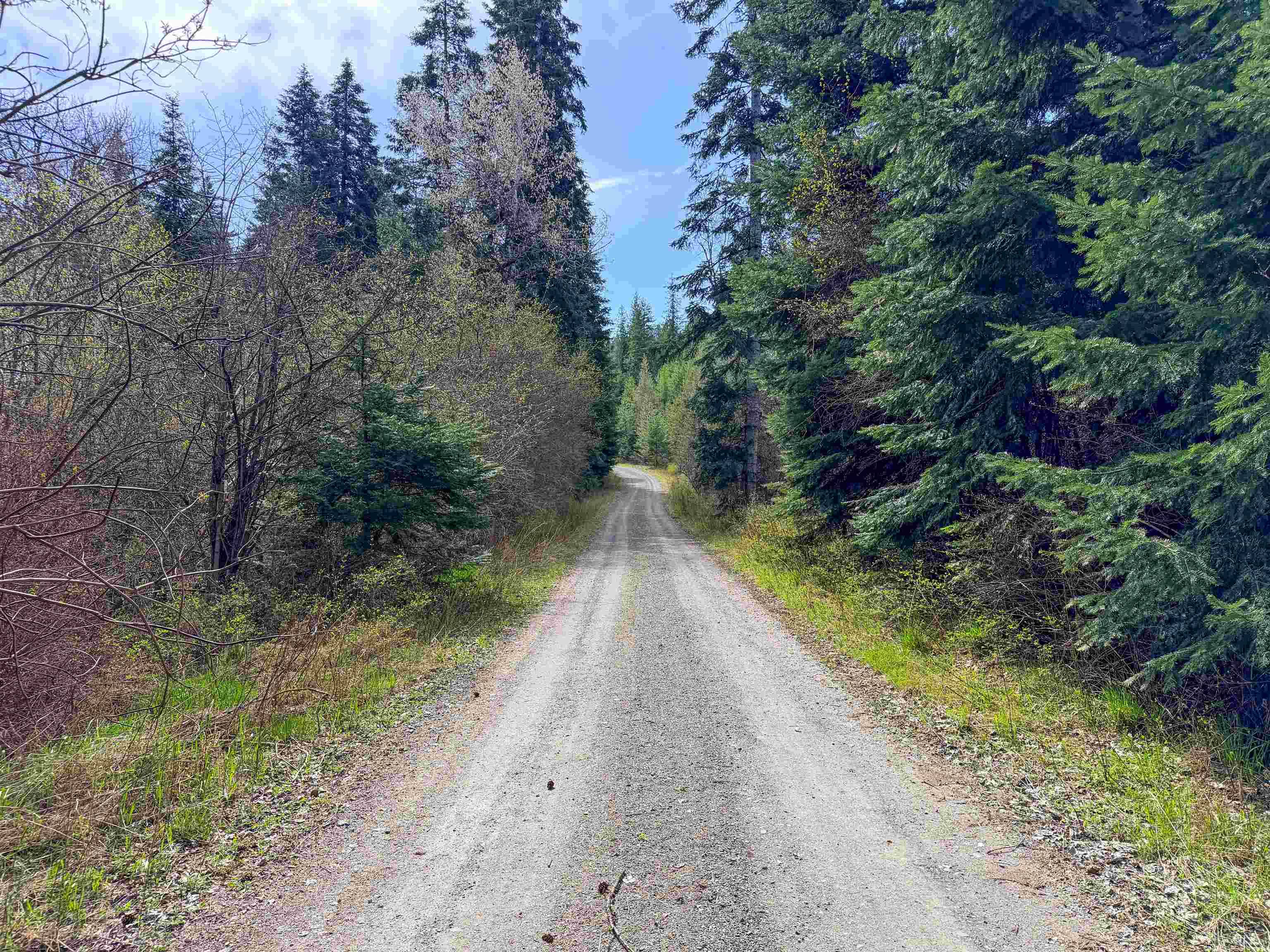 4224-C Grouse Creek Rd #C, Loon Lake, WA 99148