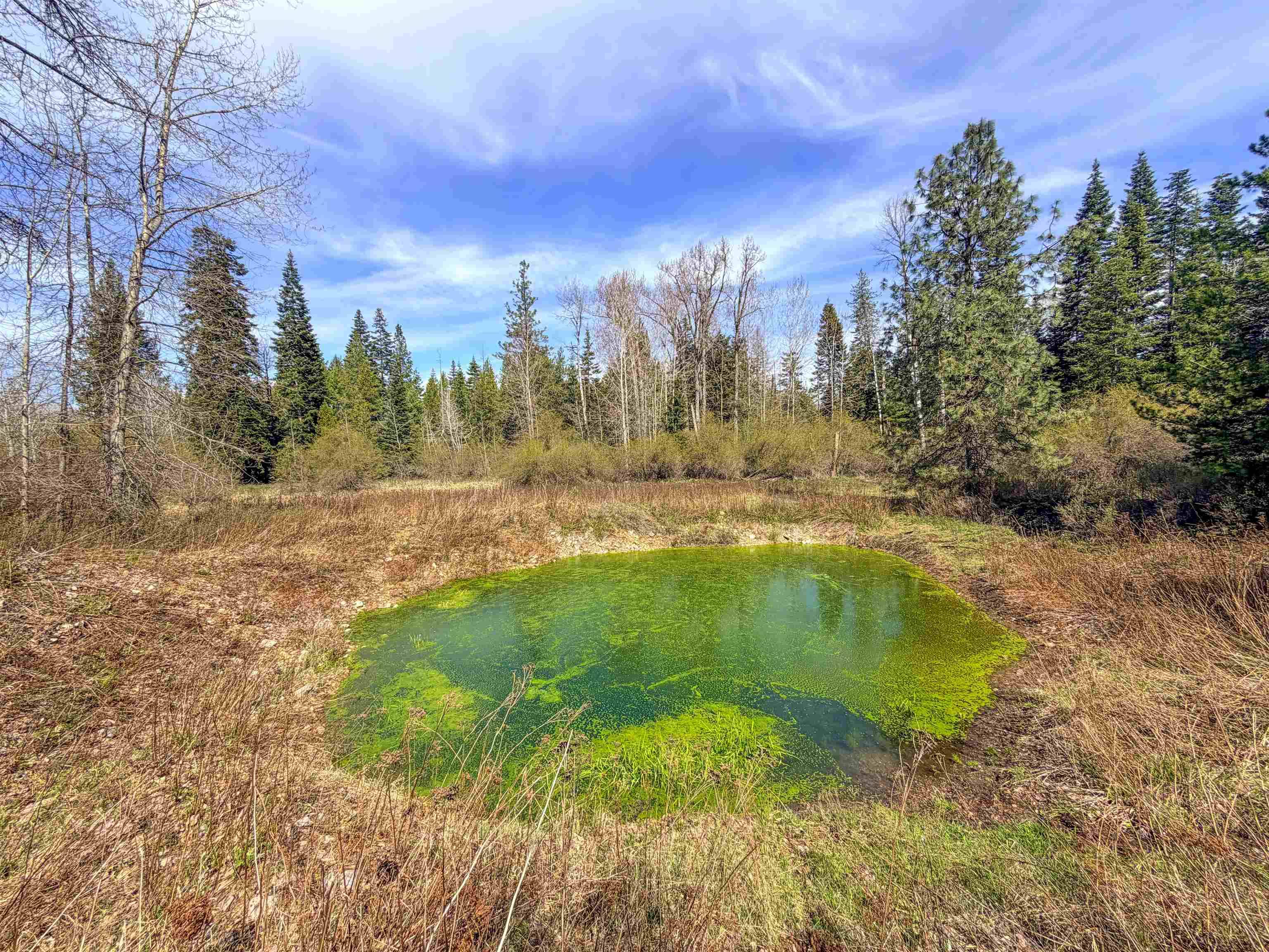 4224-C Grouse Creek Rd #C, Loon Lake, WA 99148