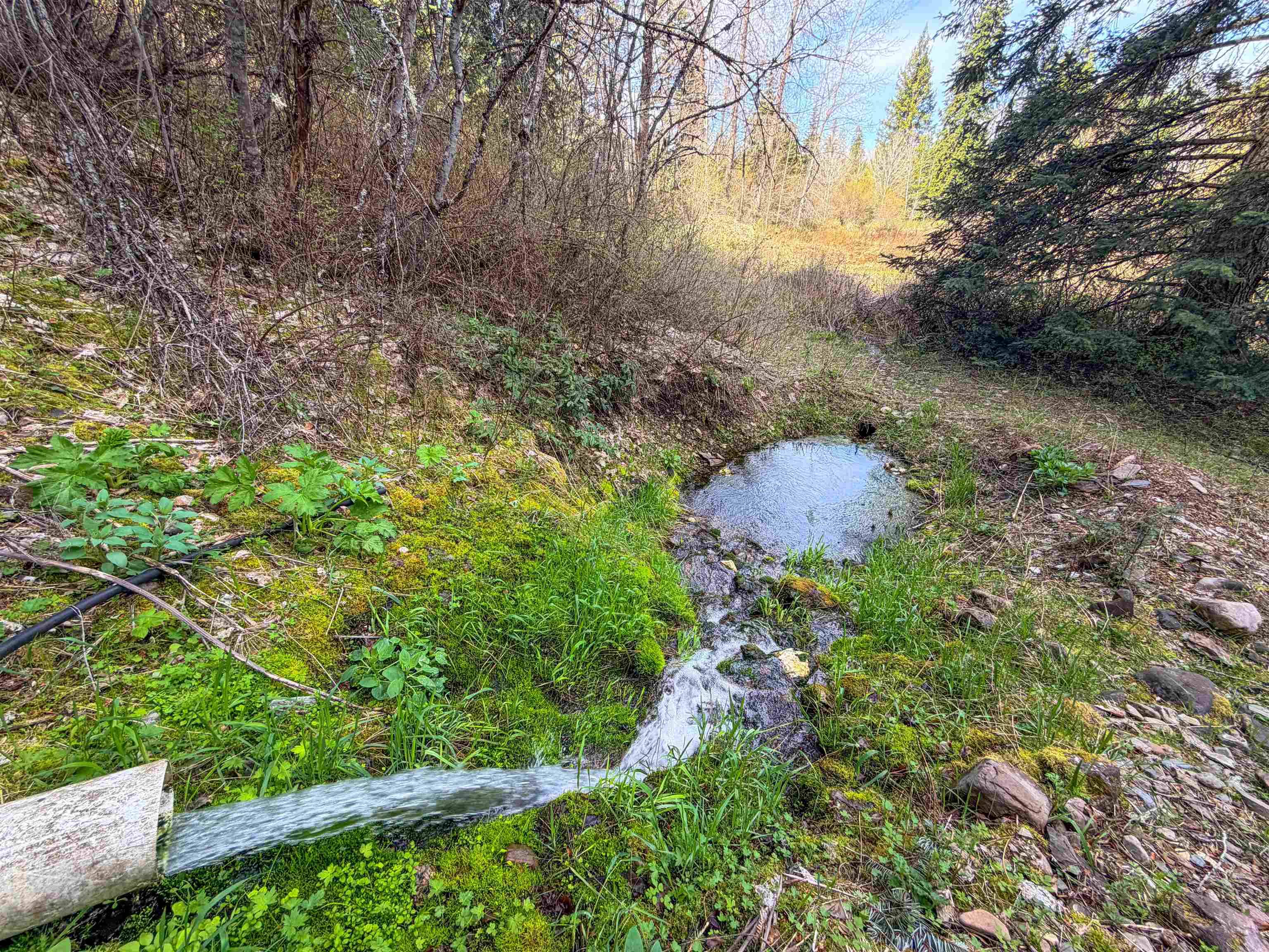 4224-C Grouse Creek Rd #C, Loon Lake, WA 99148