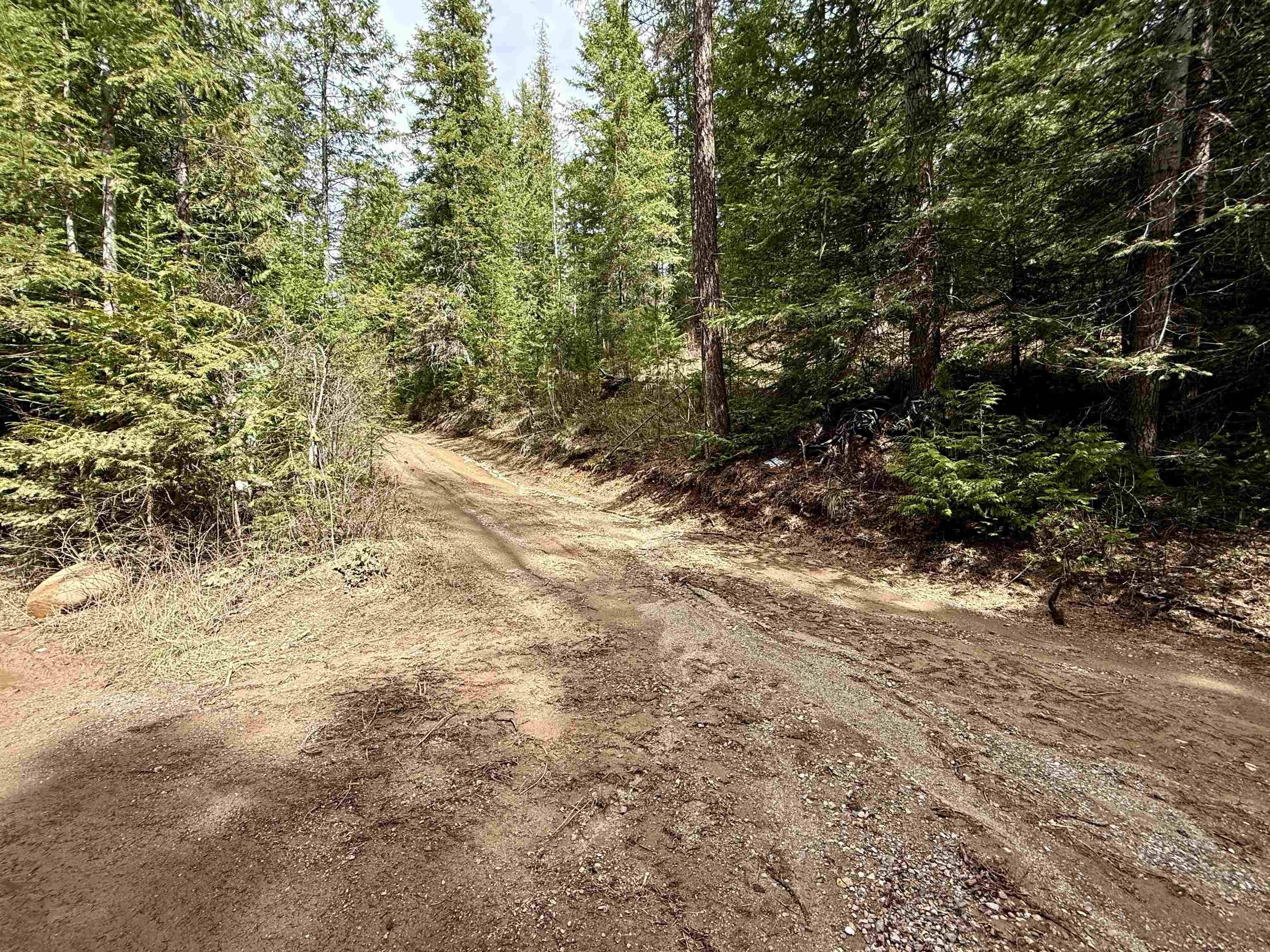 3706 k Waitts Lake Rd, Valley, WA 99181