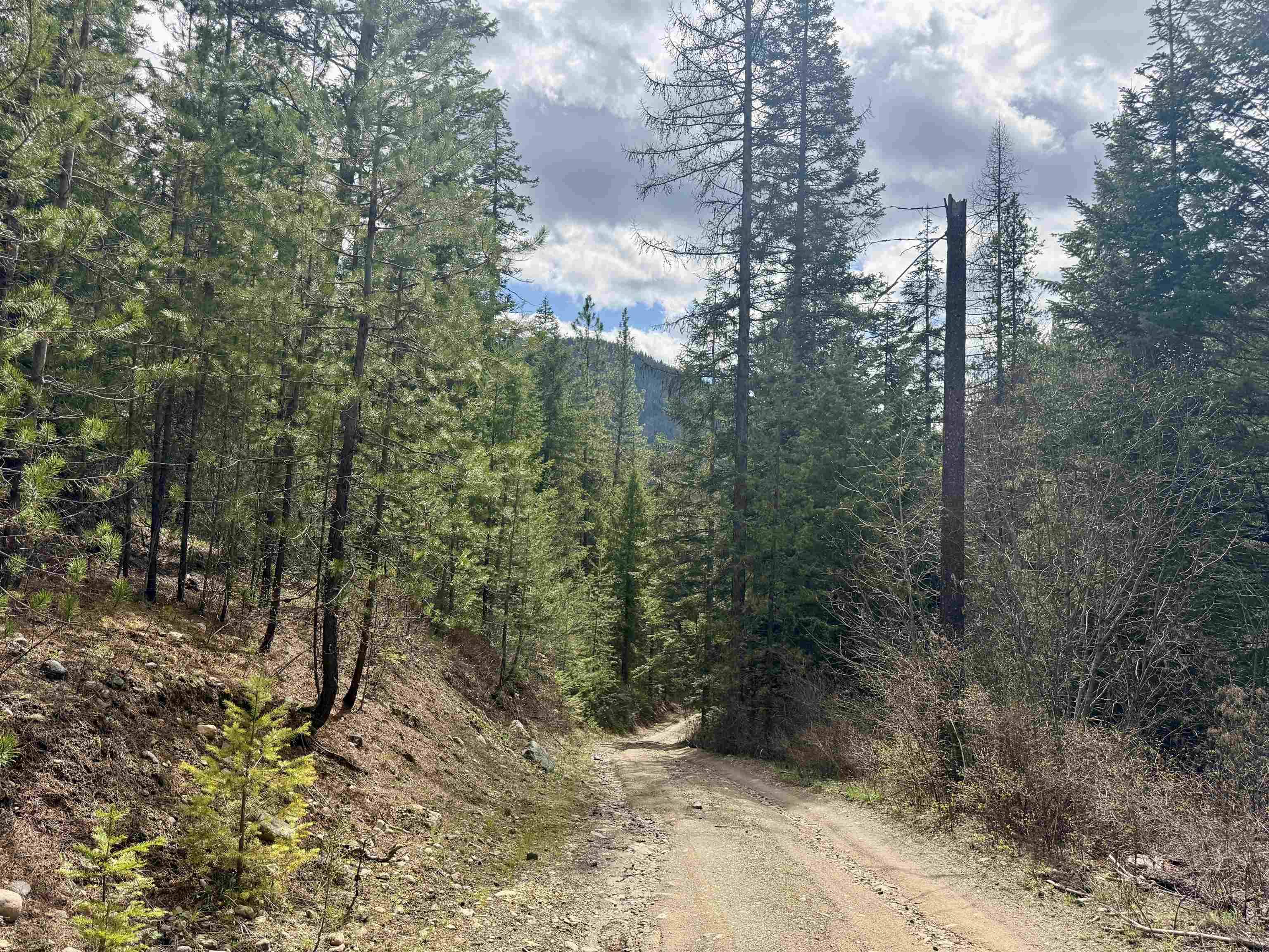 3706 k Waitts Lake Rd, Valley, WA 99181