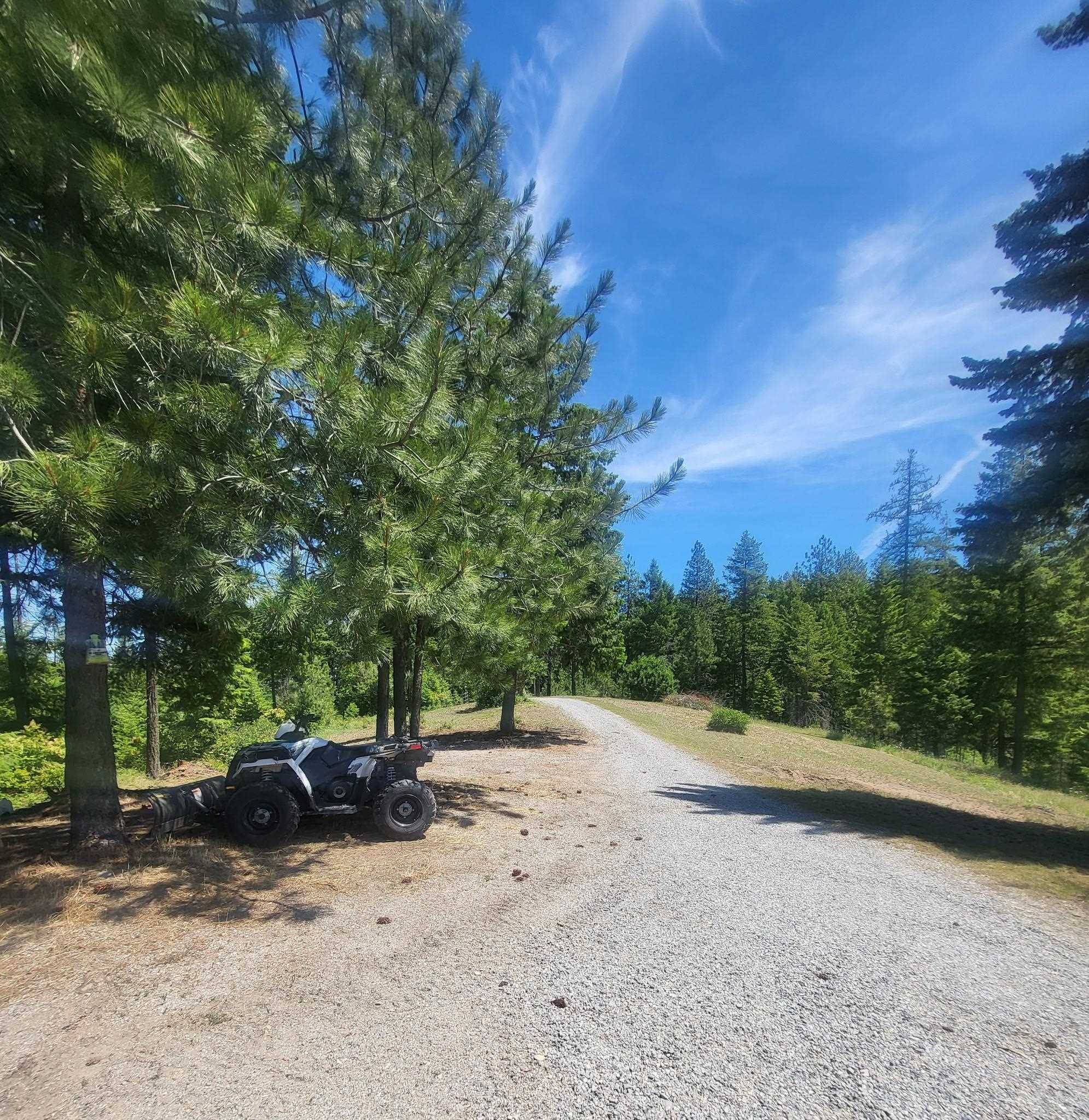 42484 Mt Moriah WAY, Loon Lake, WA 99148
