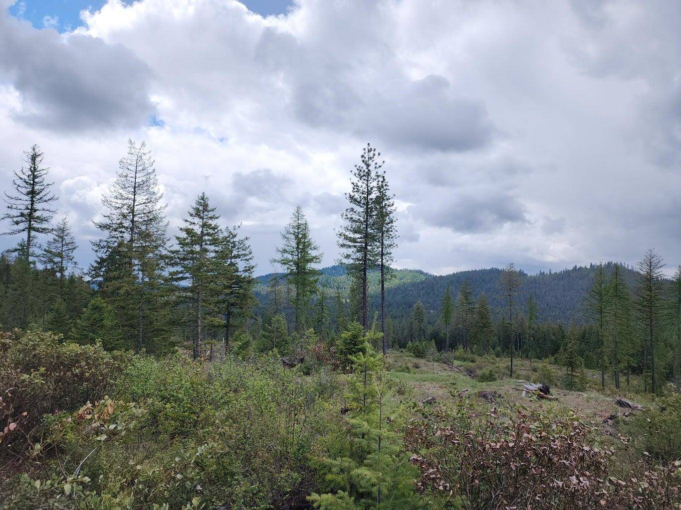 33XX Veit Rd, Newport, WA 99156-0000