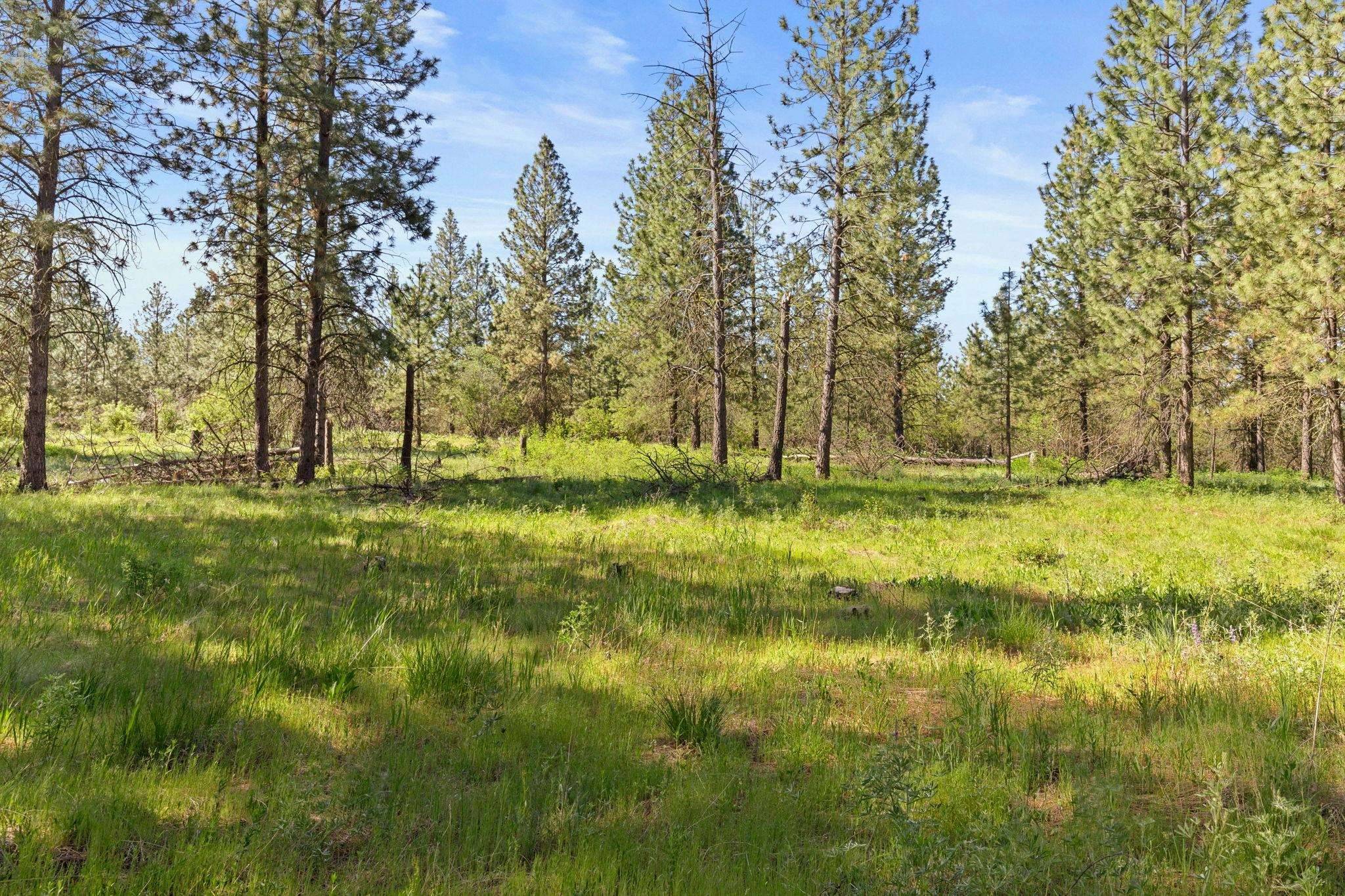 6601 Stony WAY, Nine Mile Falls, WA 99026