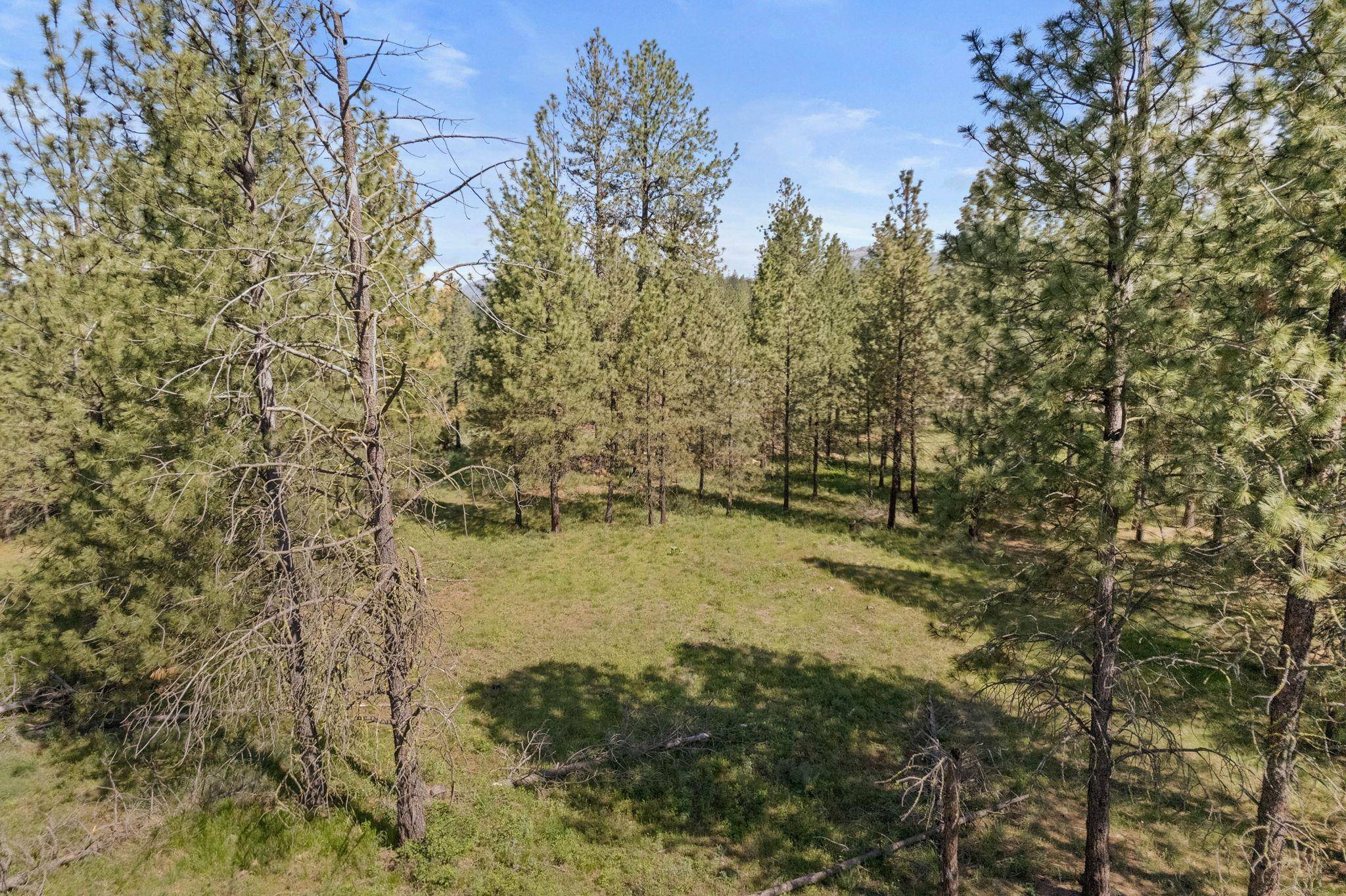 6601 Stony WAY, Nine Mile Falls, WA 99026