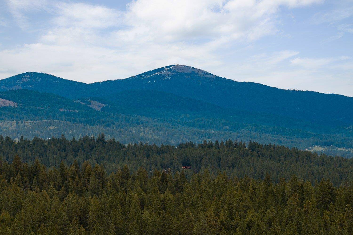 9905 E Peone Landing Ln, Mead, WA 99201